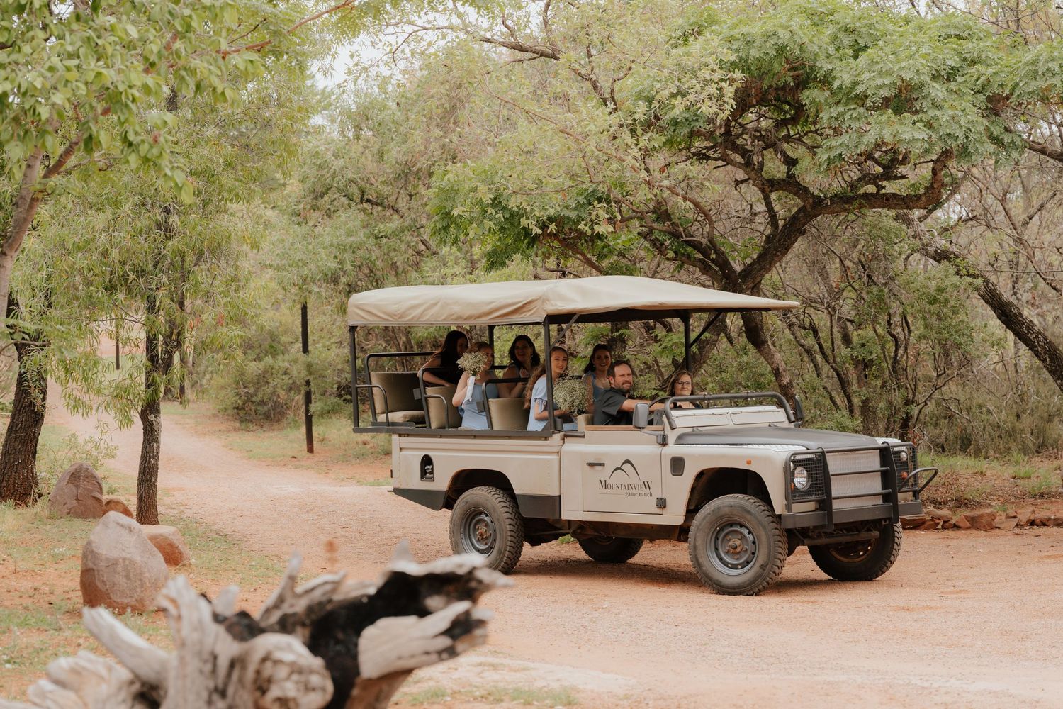 Safari vehicles parked under trees on dusty terrain.