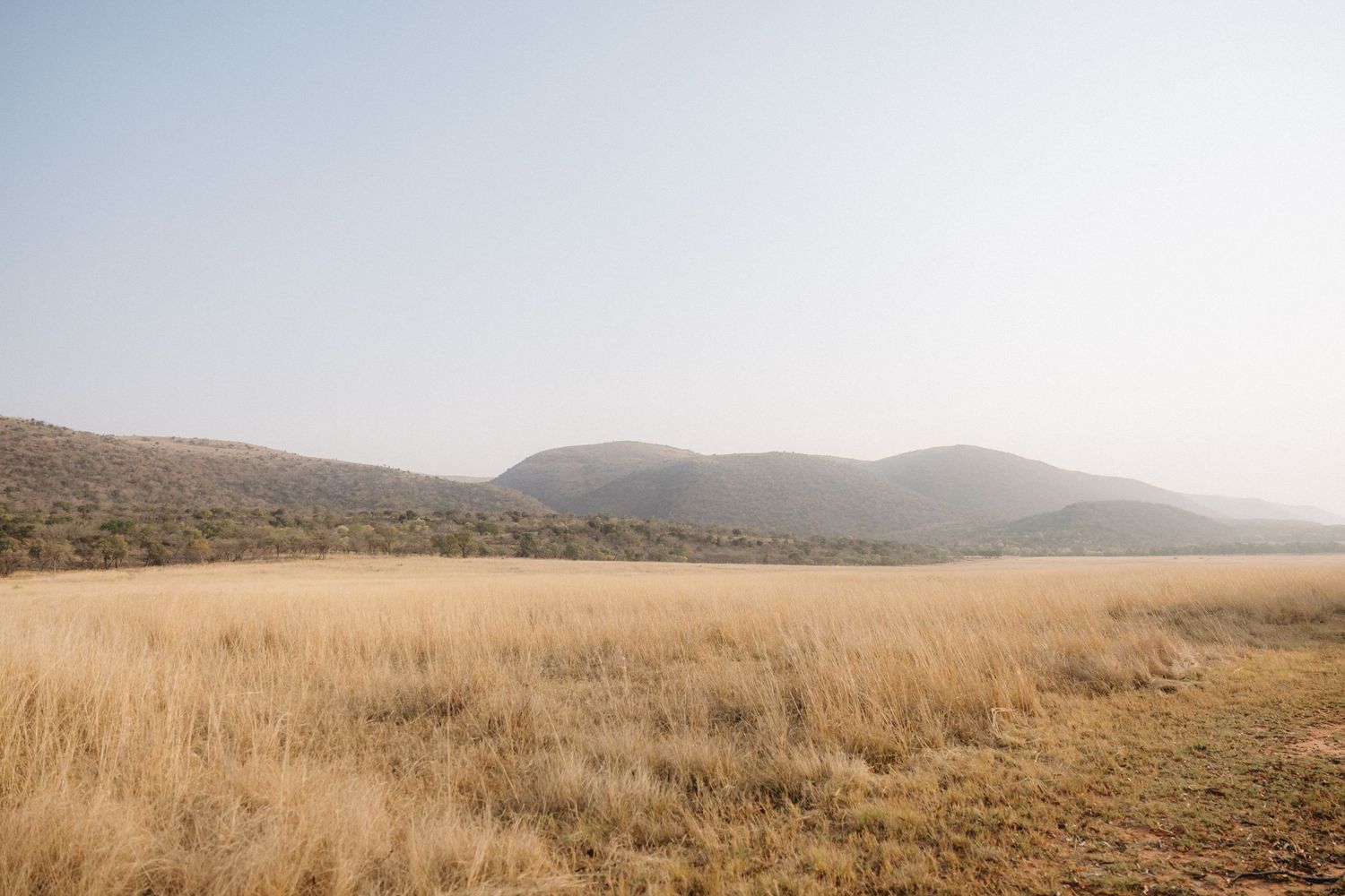 Rolling hills covered in golden dry grass stretch across a vast landscape under a hazy sky.
