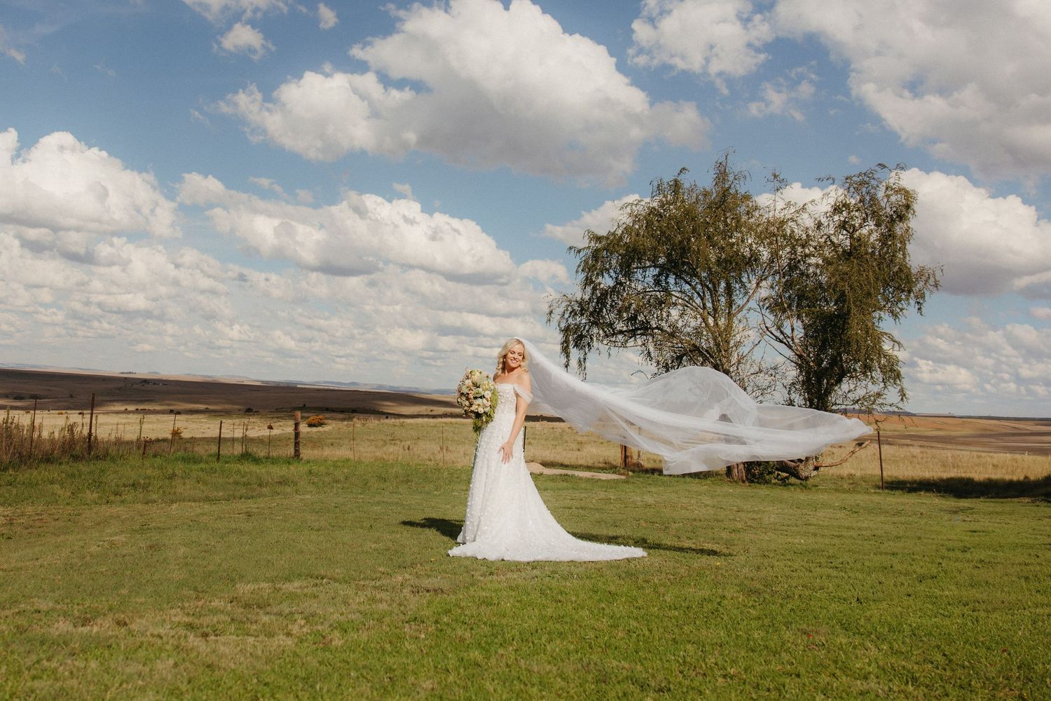 Bride in white gown with veil blowing in wind stands on green field under blue sky with clouds and tree.