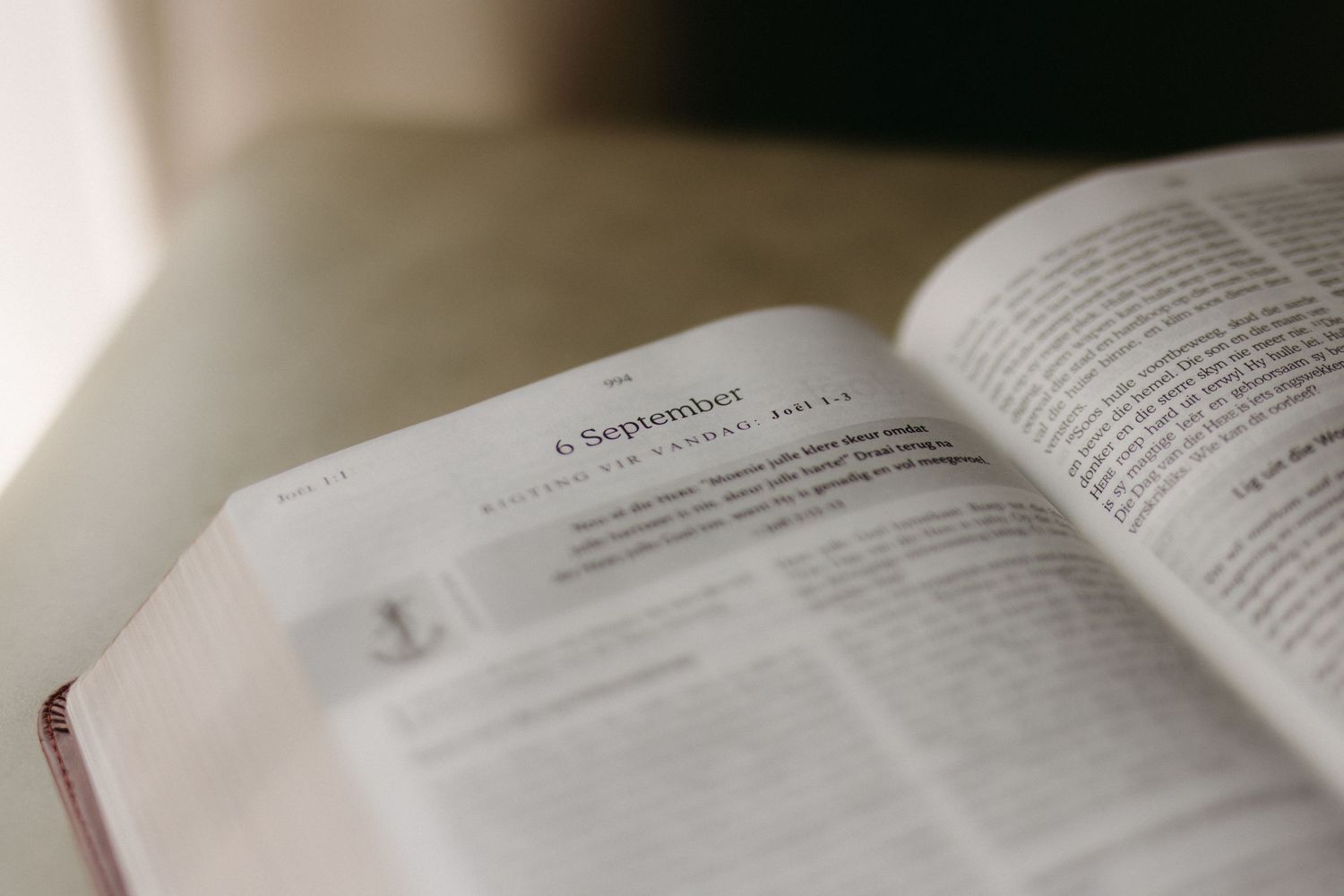 Open book pages with shallow depth of field in natural lighting.
