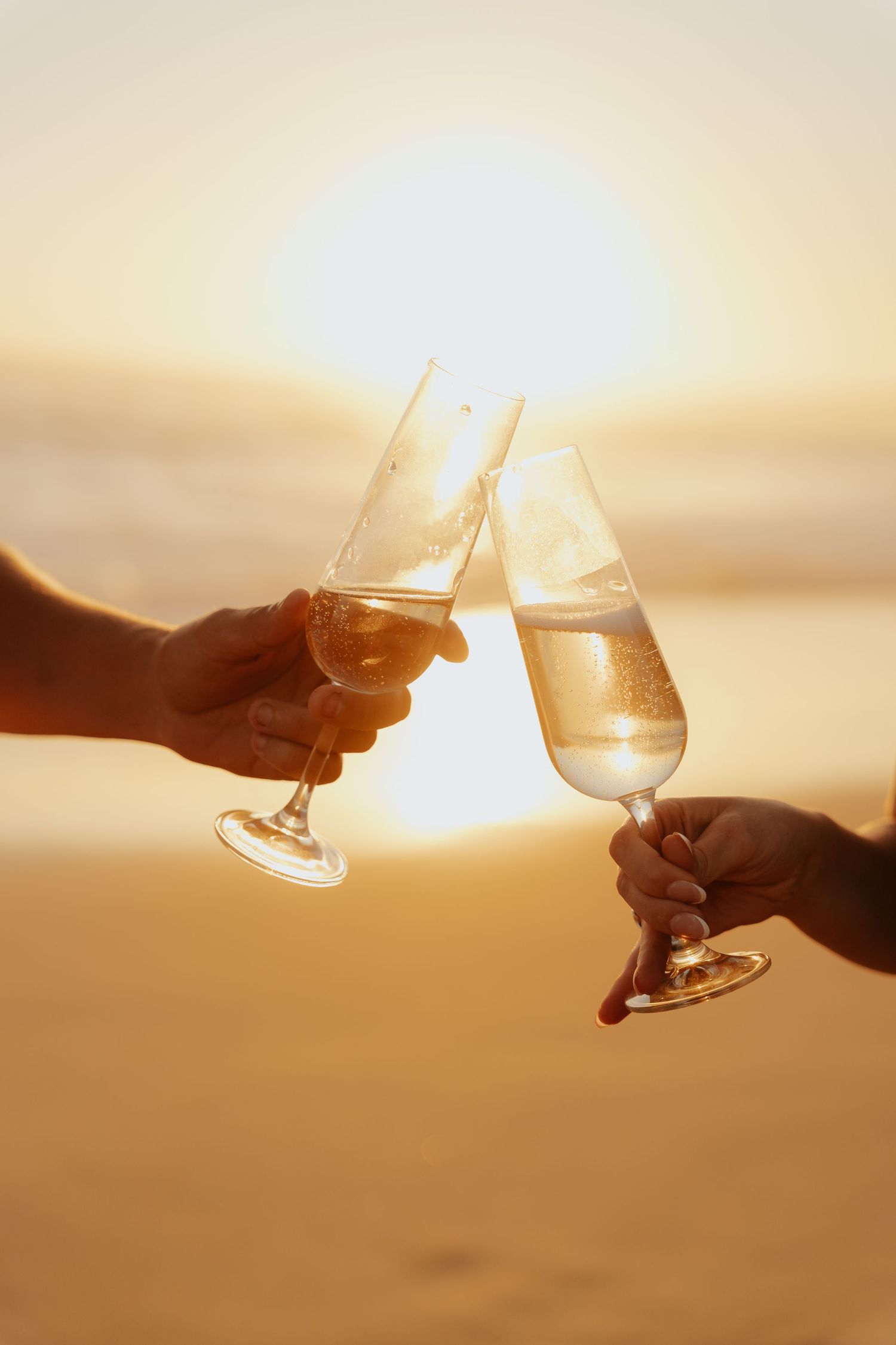 Two wine glasses clinking together in a sunset silhouette creating a romantic golden hour toast moment at Mossel Bay, South Africa