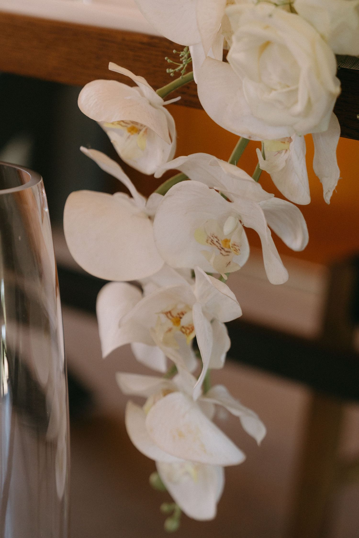 Close-up of delicate white orchids cascading near glass stemware on wooden surface.