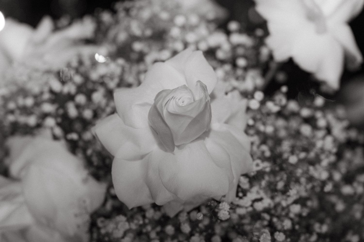 Artistic black and white macro shot of wedding flowers with bokeh effect.