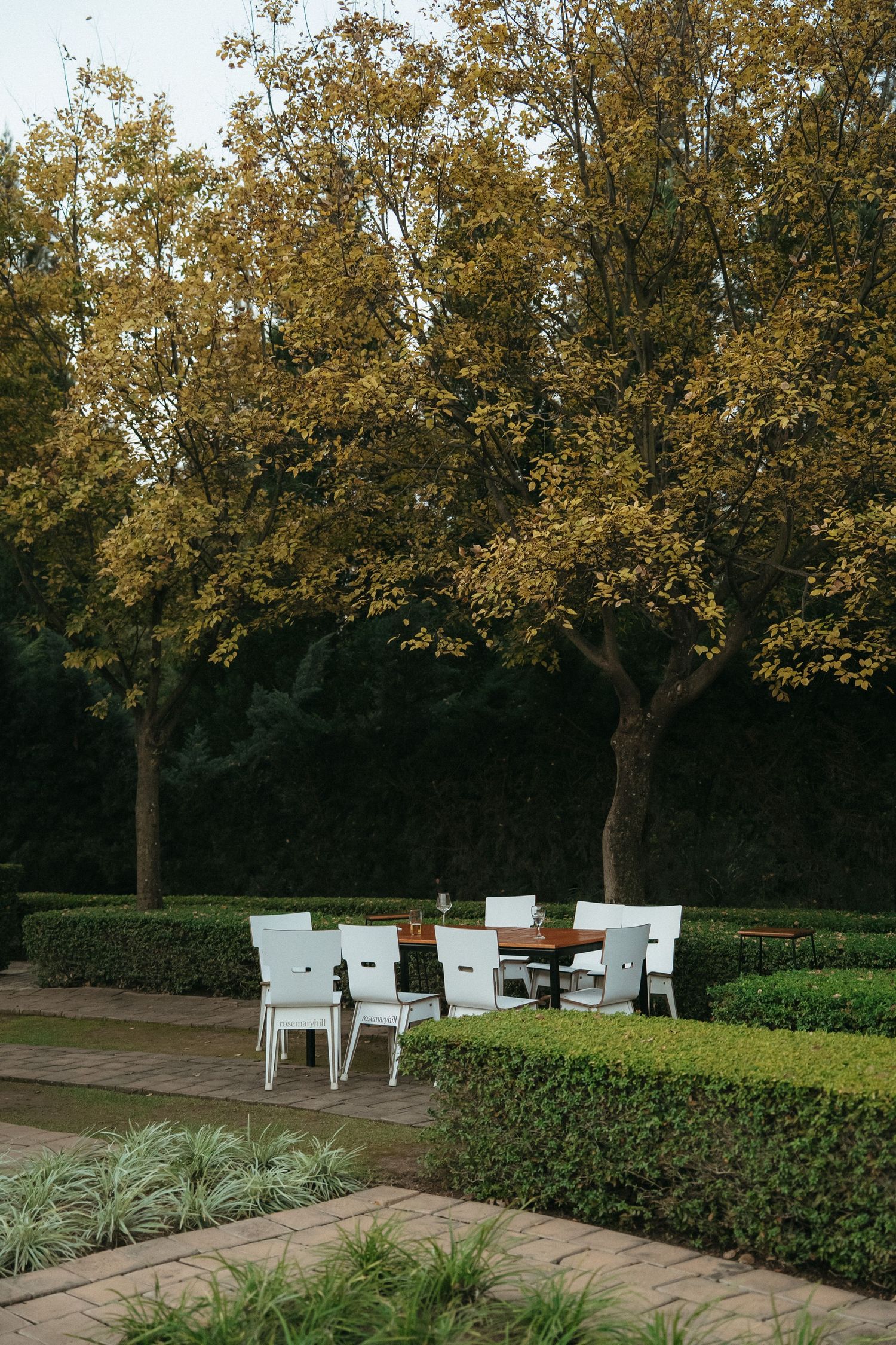 Outdoor garden dining set with white chairs and wooden table surrounded by trimmed hedges and autumn trees.