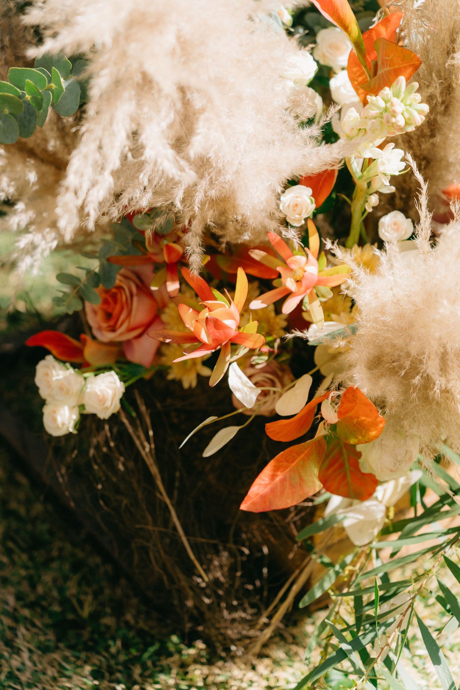 Romantic floral arrangement with coral and white blooms adorned with delicate pampas grass.