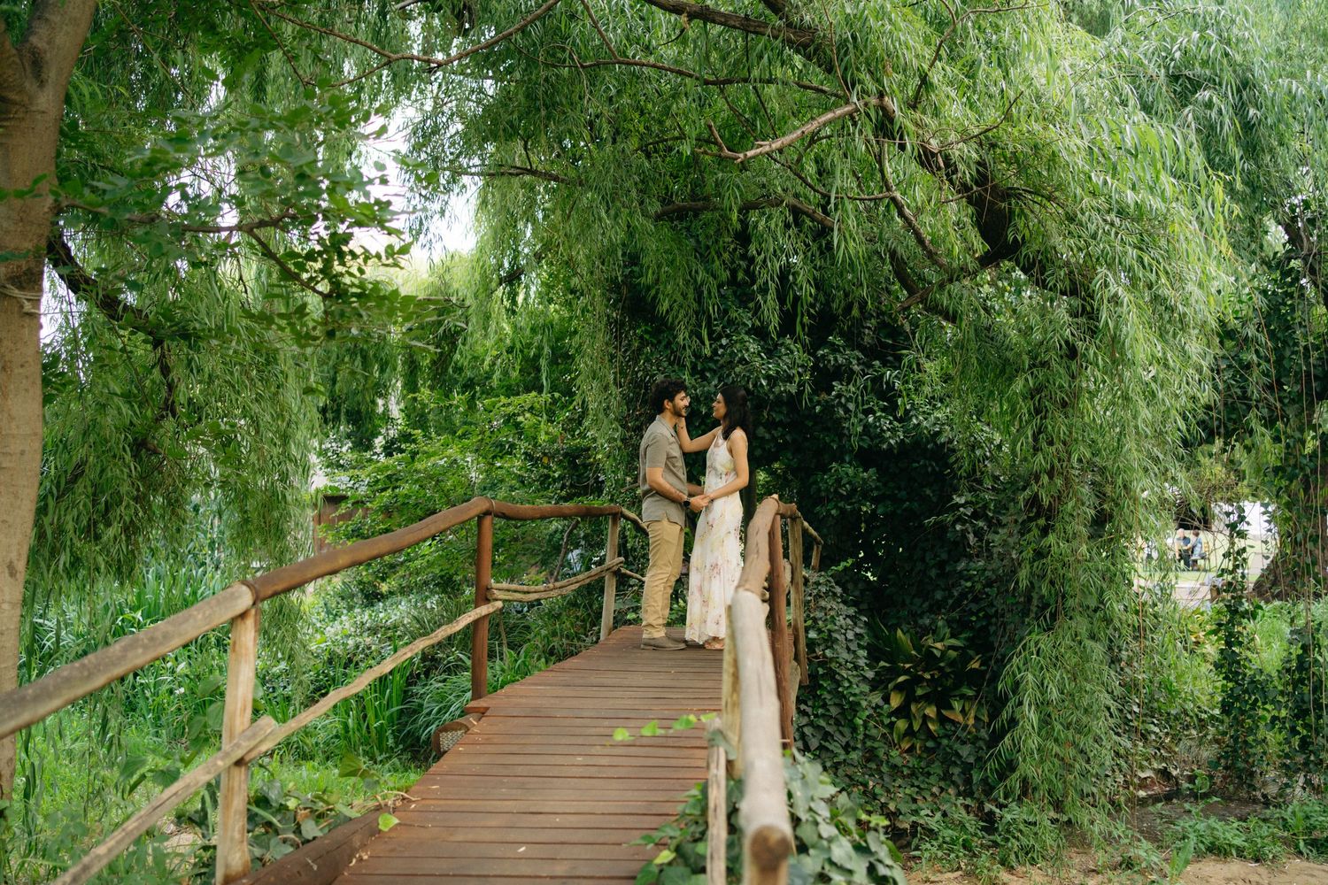 A romantic moment on a wooden bridge surrounded by lush green willows.