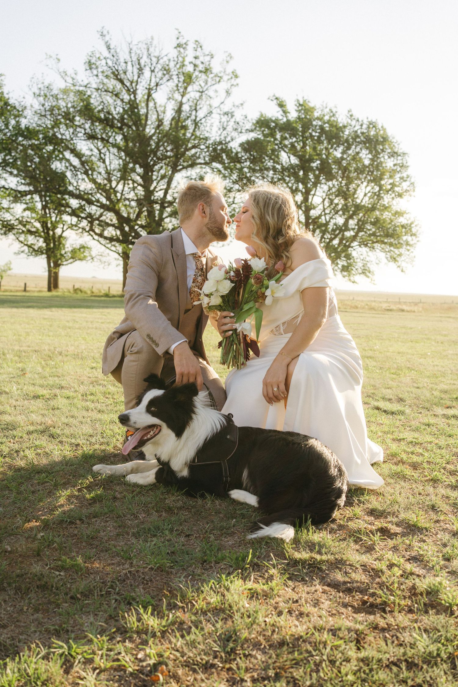 A couple shares a tender moment at their outdoor wedding with their Border Collie dog sitting between them at sunset.