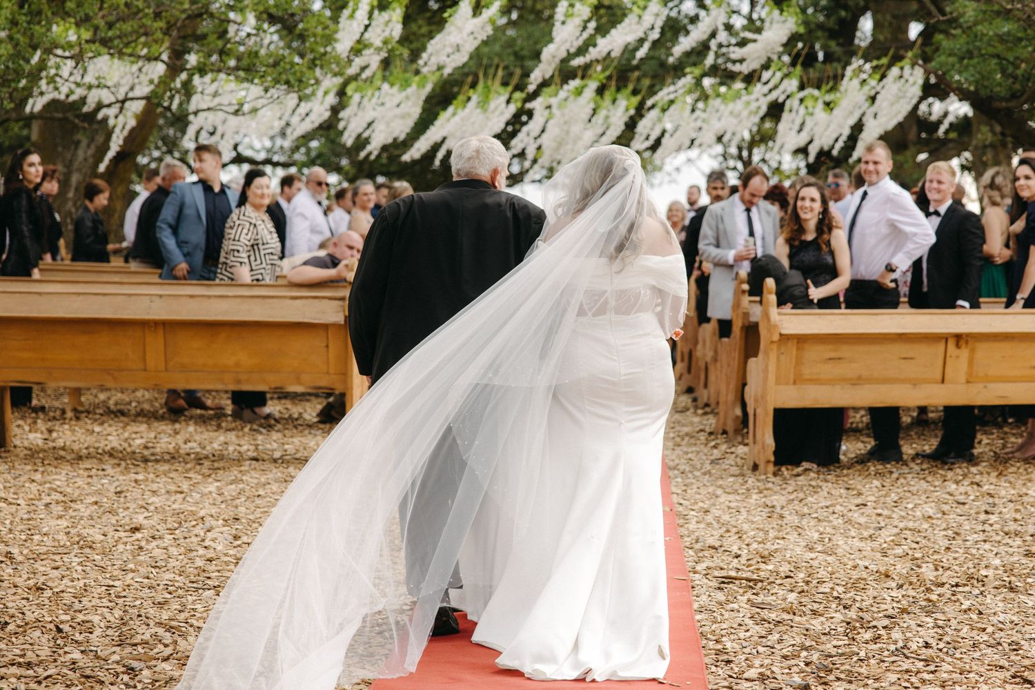 A wedding ceremony taking place outdoors with wooden benches and guests gathered under trees.
