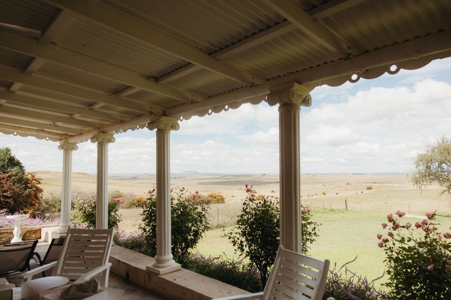 Elegant verandah with white columns overlooking vast rural landscape, featuring garden roses and pastoral views under cloudy skies.