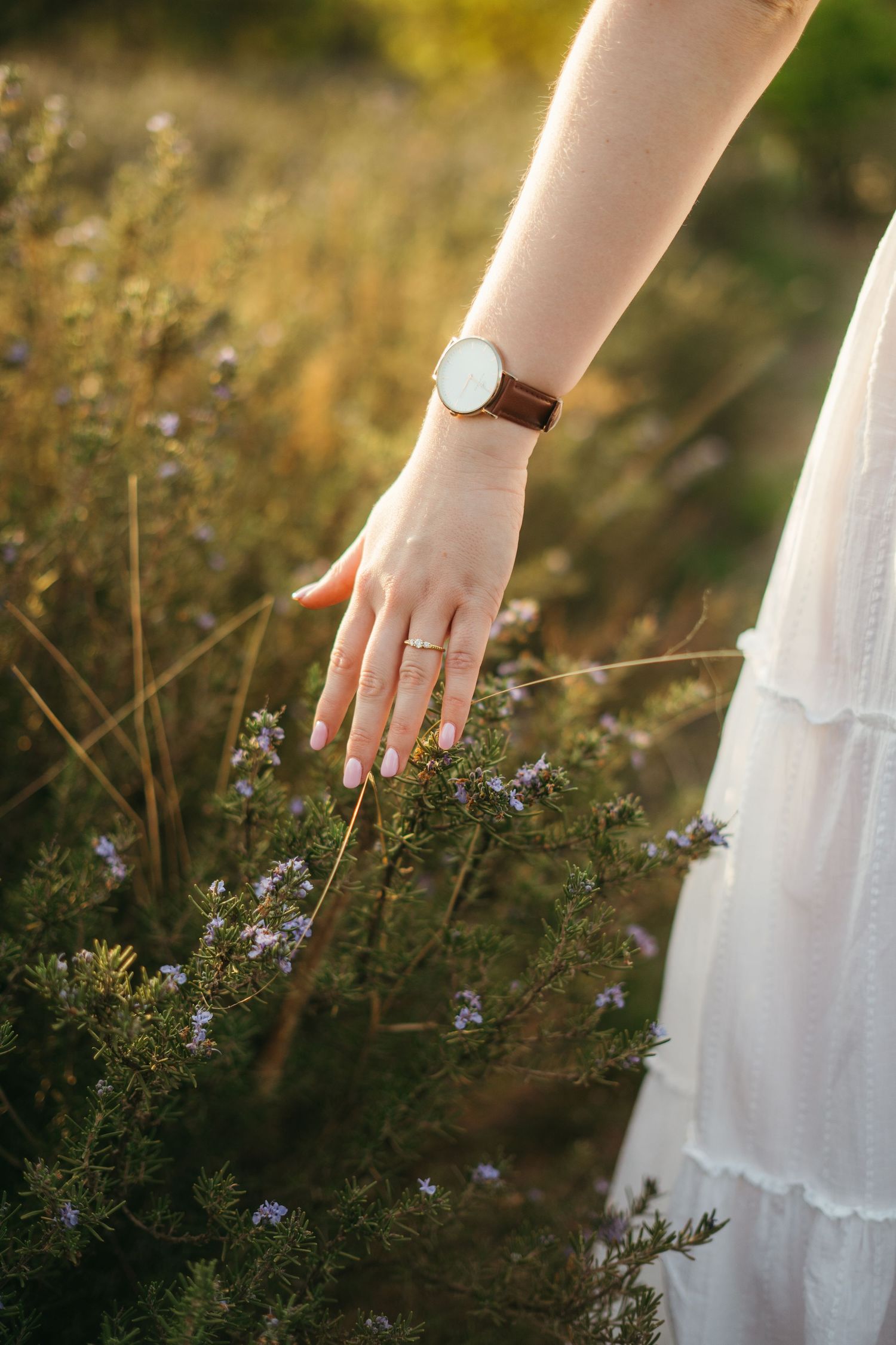 Delicate hand wearing a classic watch and white dress gently touches wildflowers in a sunlit meadow.