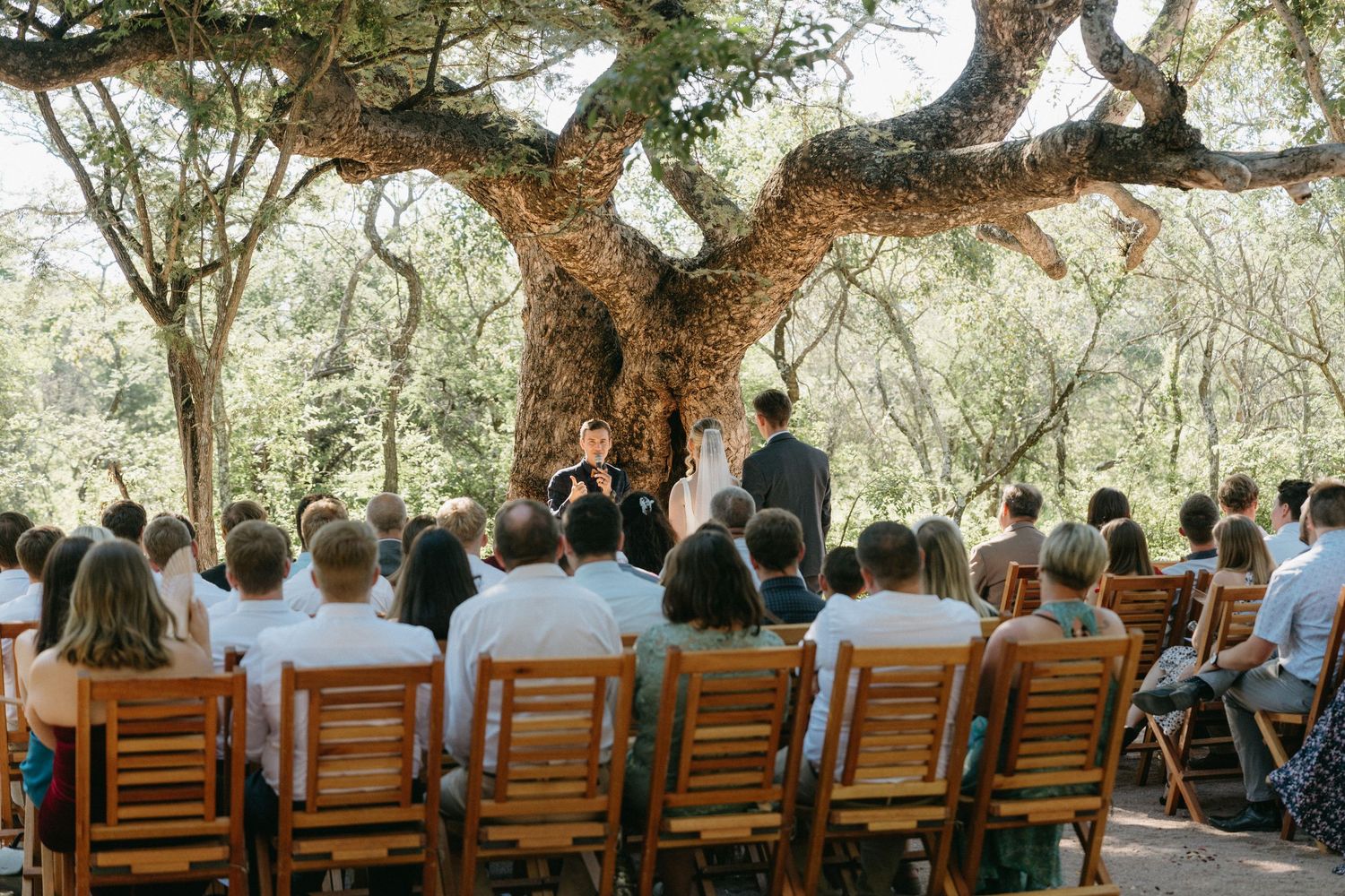 An outdoor wedding ceremony takes place under a majestic oak tree with wooden chairs for seated guests.