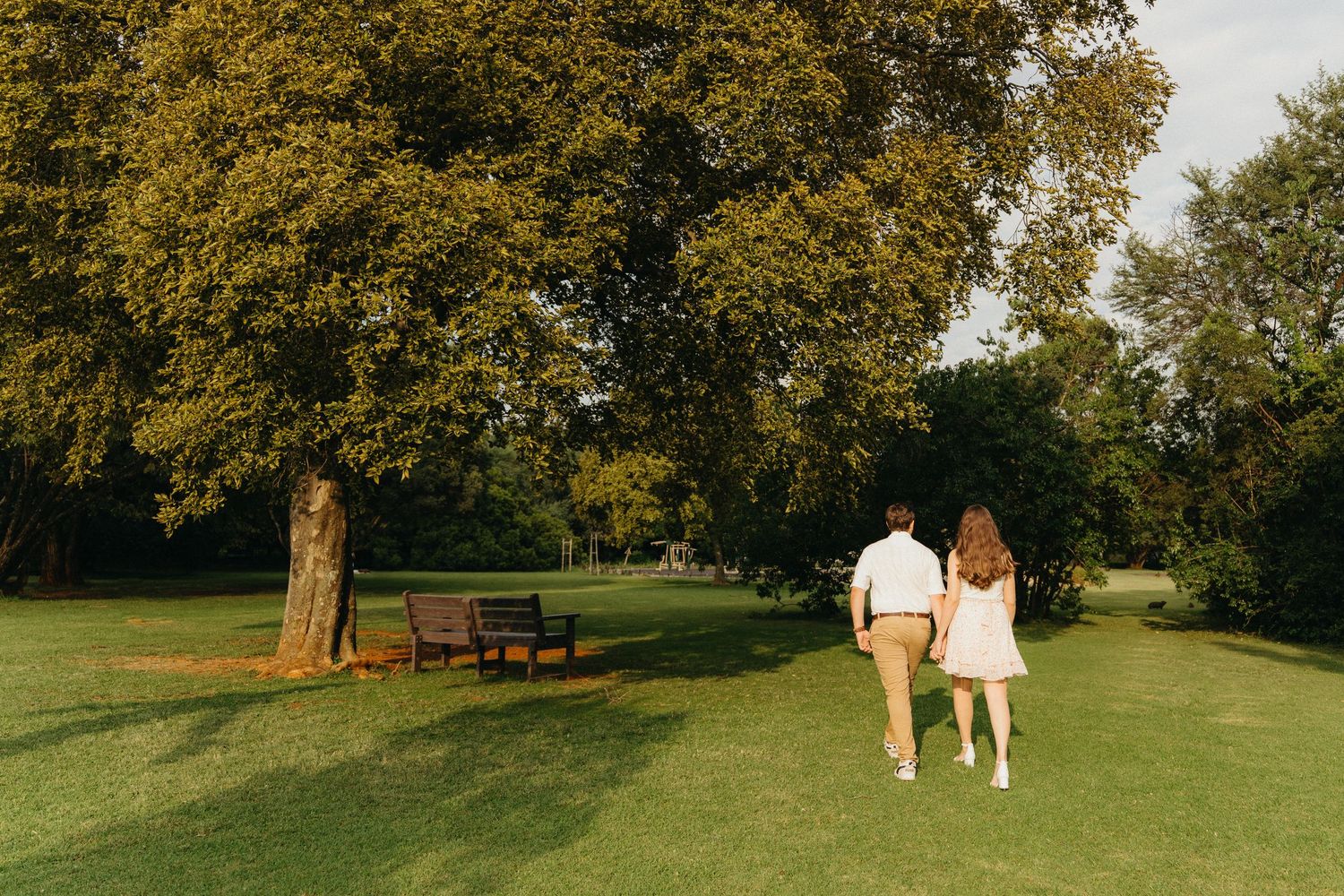 Couple walking hand in hand through a lush green park with a large tree and wooden bench on a sunny day.