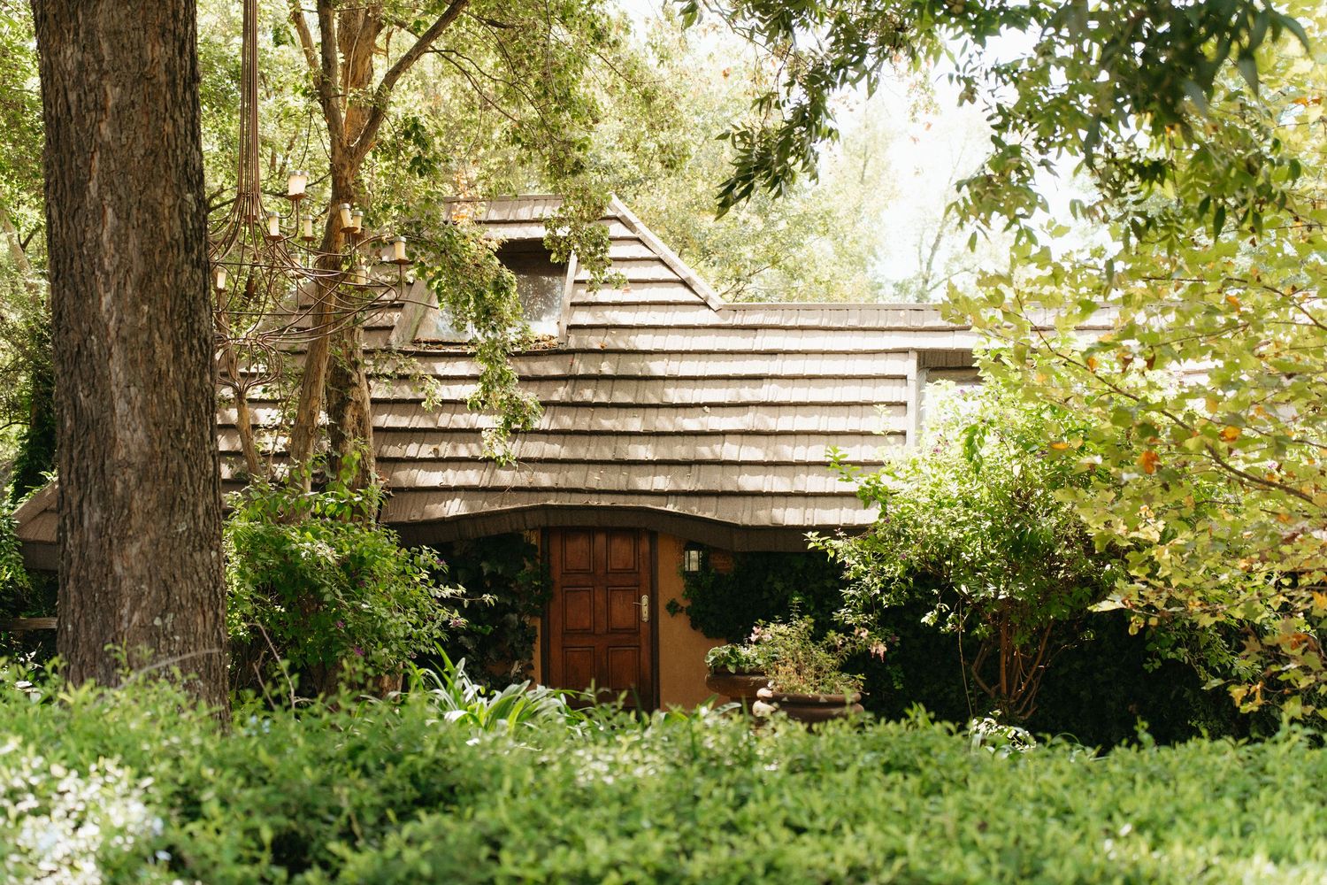 Rustic cabin with a natural wood exterior nestled among lush green trees in a peaceful forest setting.