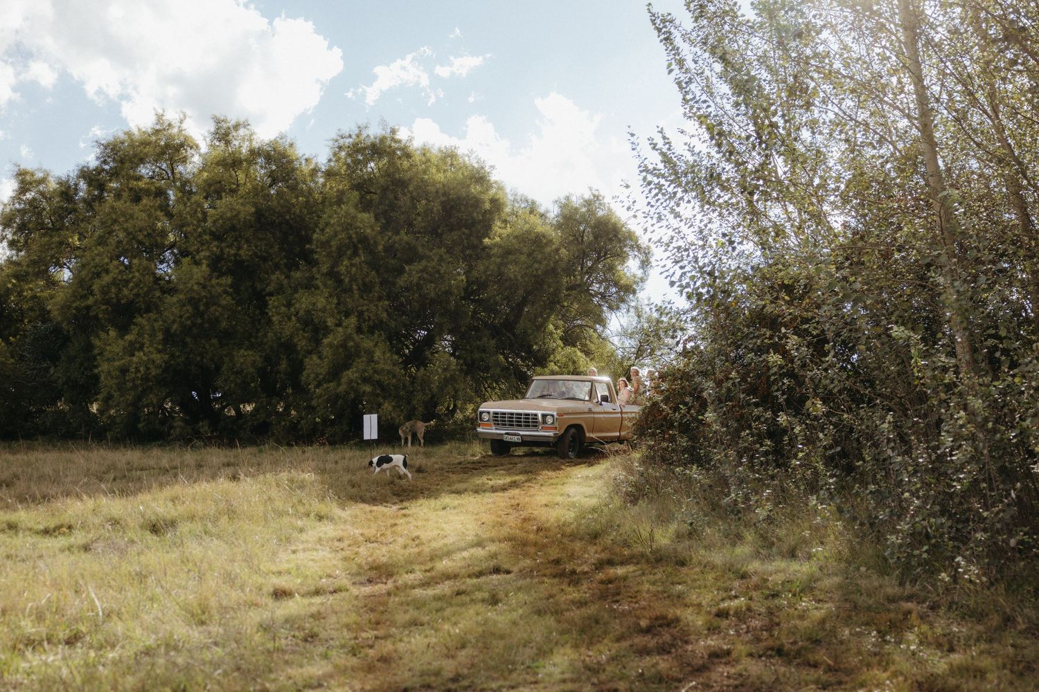 A vintage truck parked in a rural field surrounded by tall trees and dry grass under a partly cloudy sky.