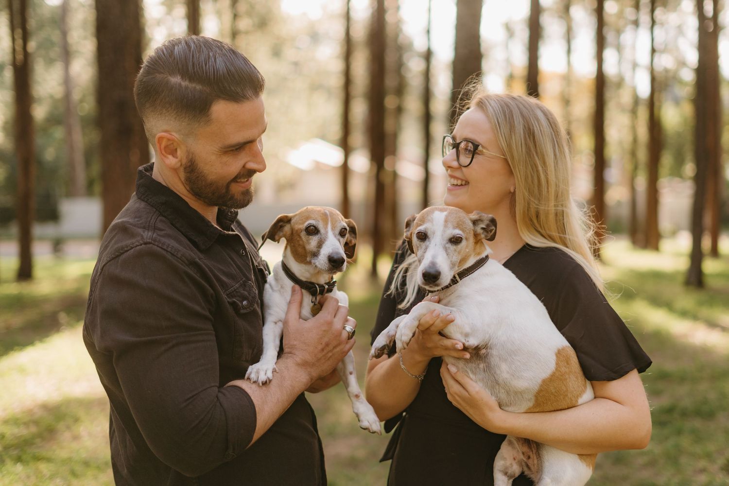 A couple holds their two Jack Russell Terriers while standing in a sunlit forest setting.