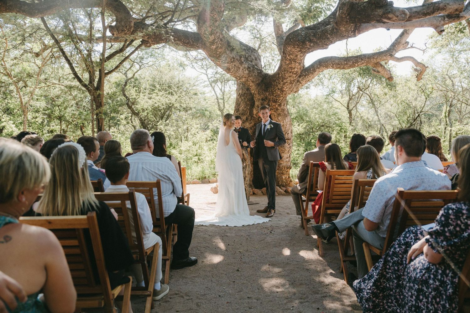 Outdoor wedding ceremony under a large tree with wooden chairs and gathered guests.
