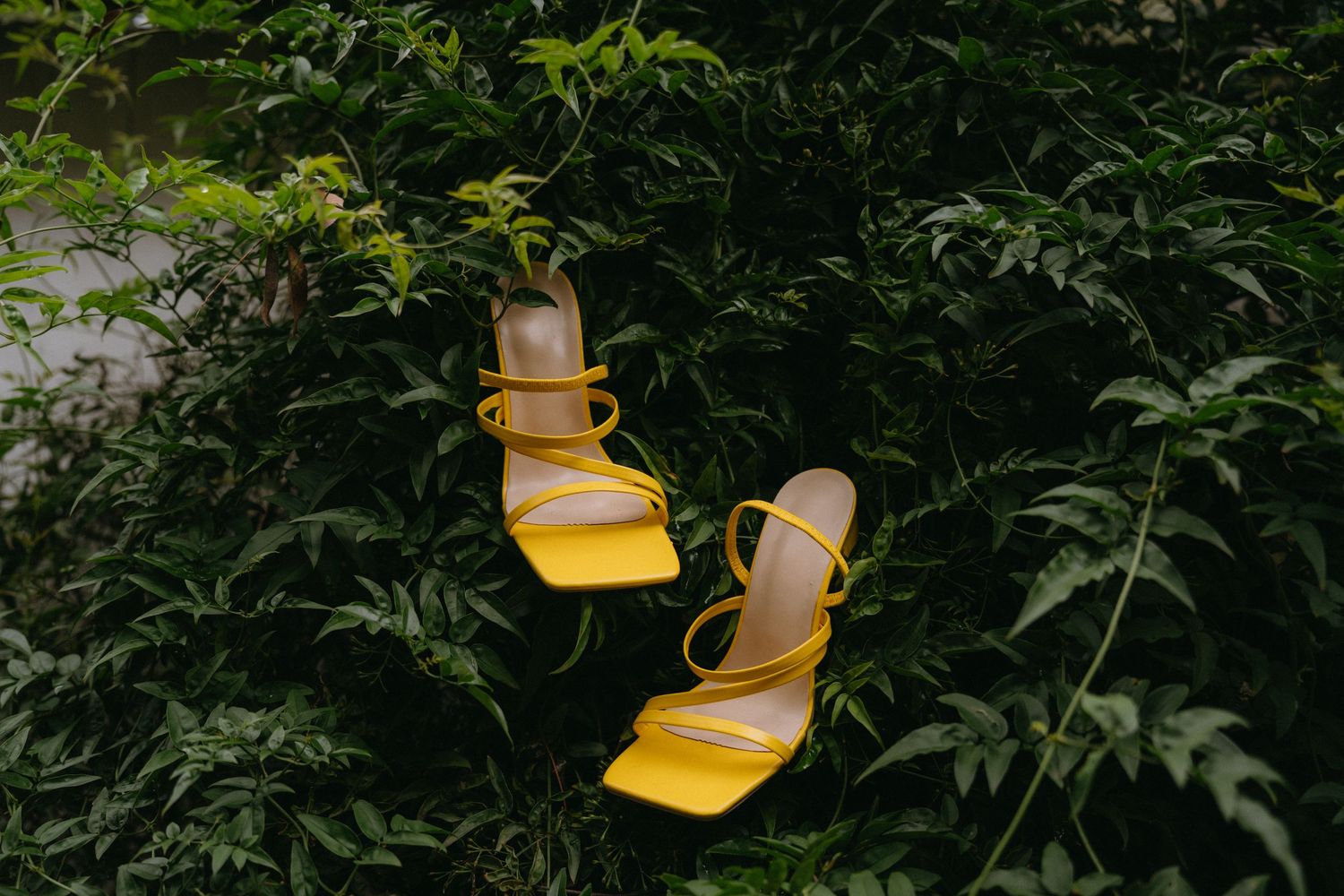 Bright yellow strappy sandals floating against green foliage background.