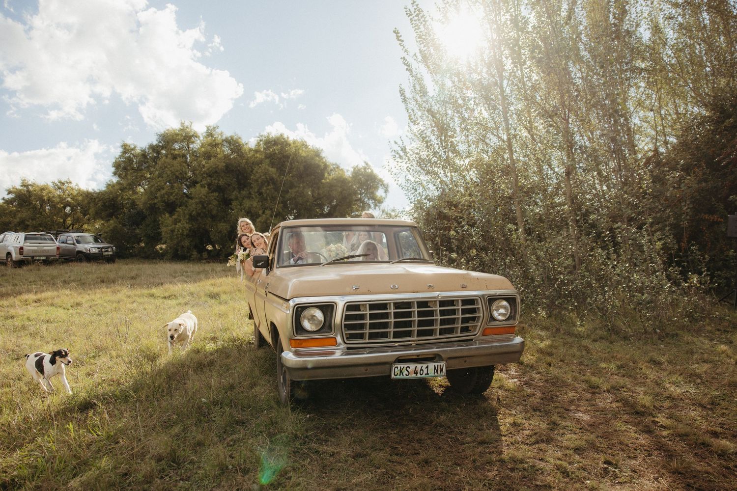 Vintage Ford pickup truck parked in a sunny field with a dog nearby and people relaxing in the truck bed.