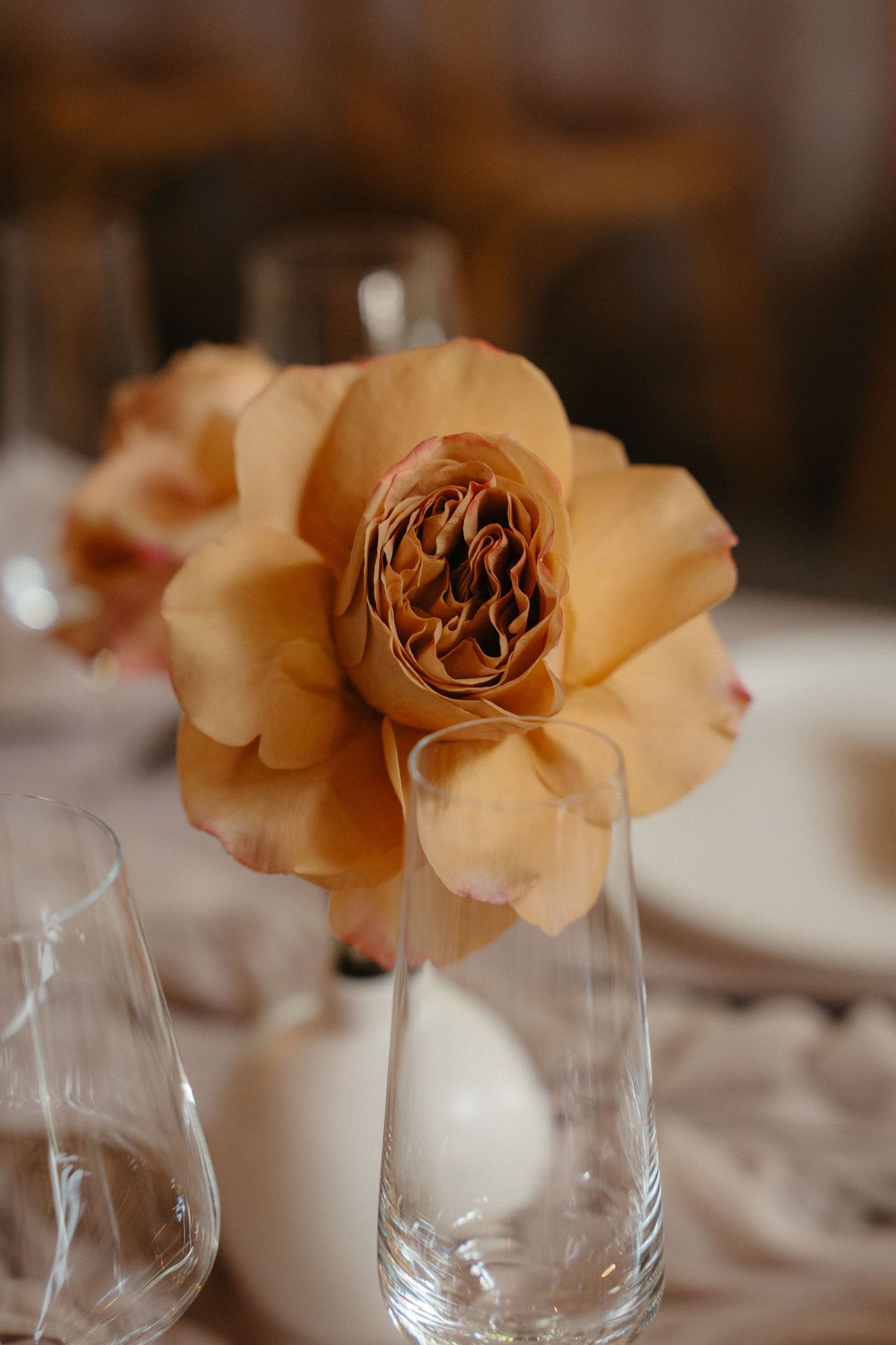 A row of delicate peach-colored roses arranged in clear glass vases on a white tablecloth.