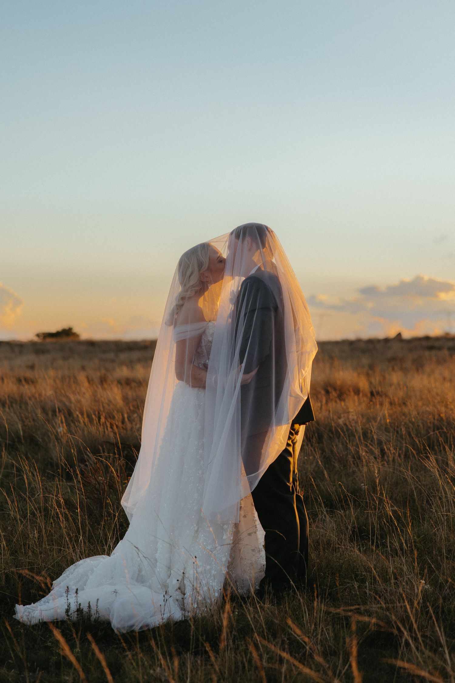 Bride and groom kissing under a veil at sunset in a golden field, romantic outdoor wedding portrait.