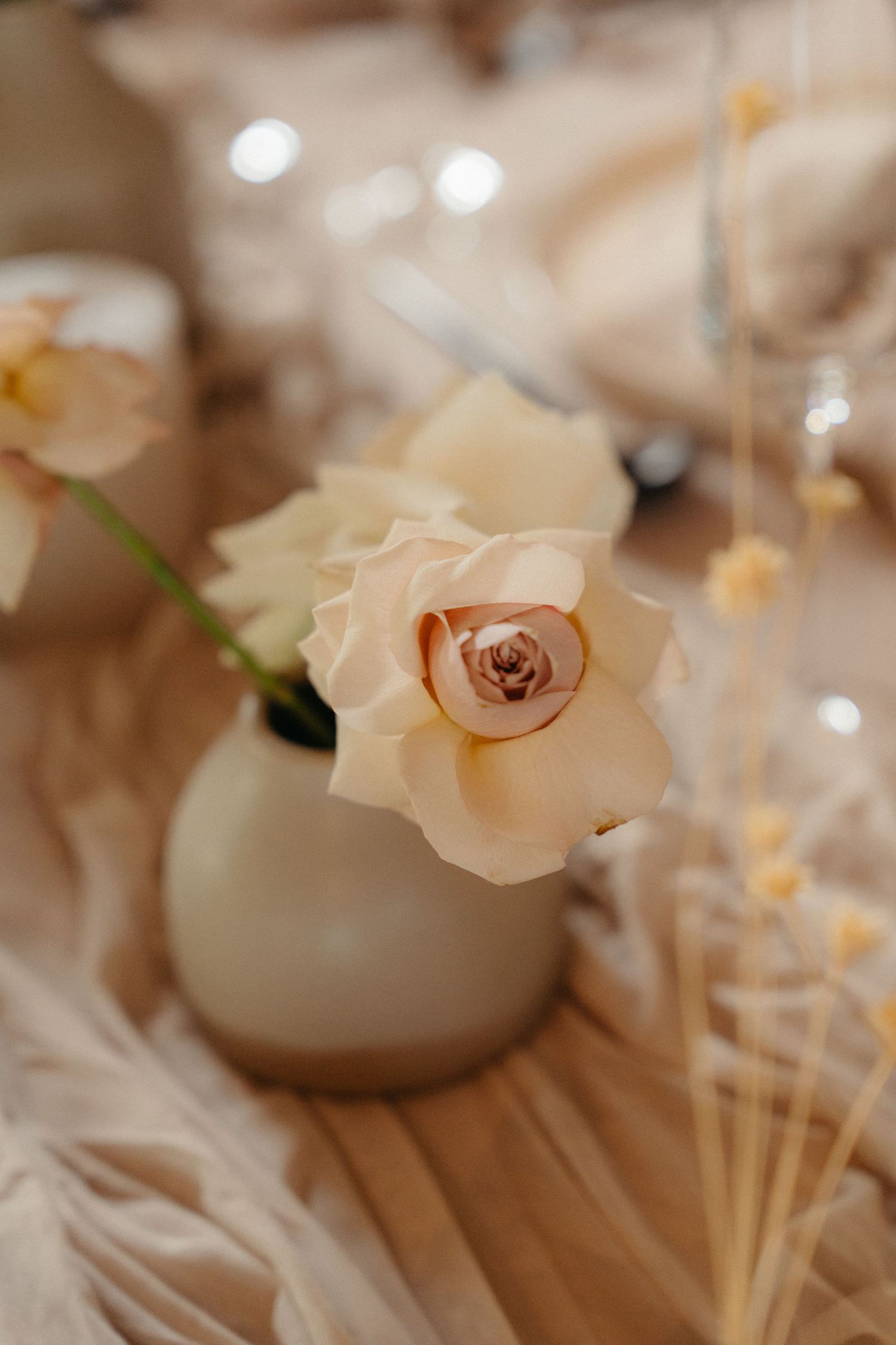 Delicate peach roses in small white vases create an elegant table setting with soft bokeh lighting in the background.