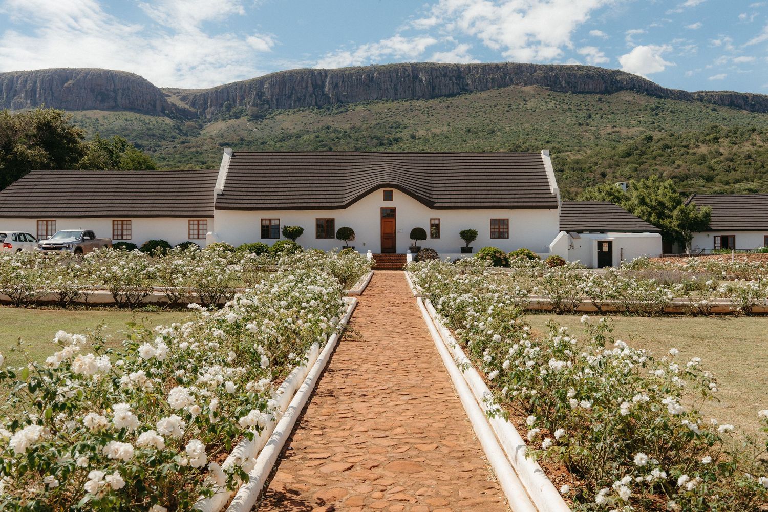 Cape Dutch manor house with rose garden path and mountain backdrop in South Africa.