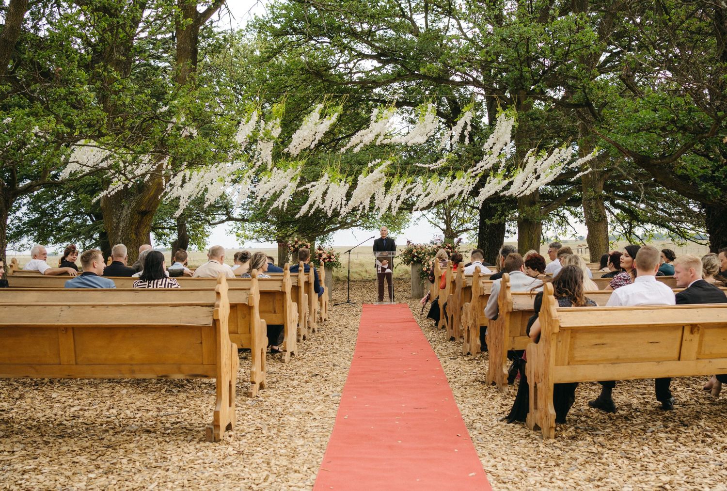 Outdoor wedding ceremony setup with wooden benches, red carpet aisle, and white floral decor hanging from trees.