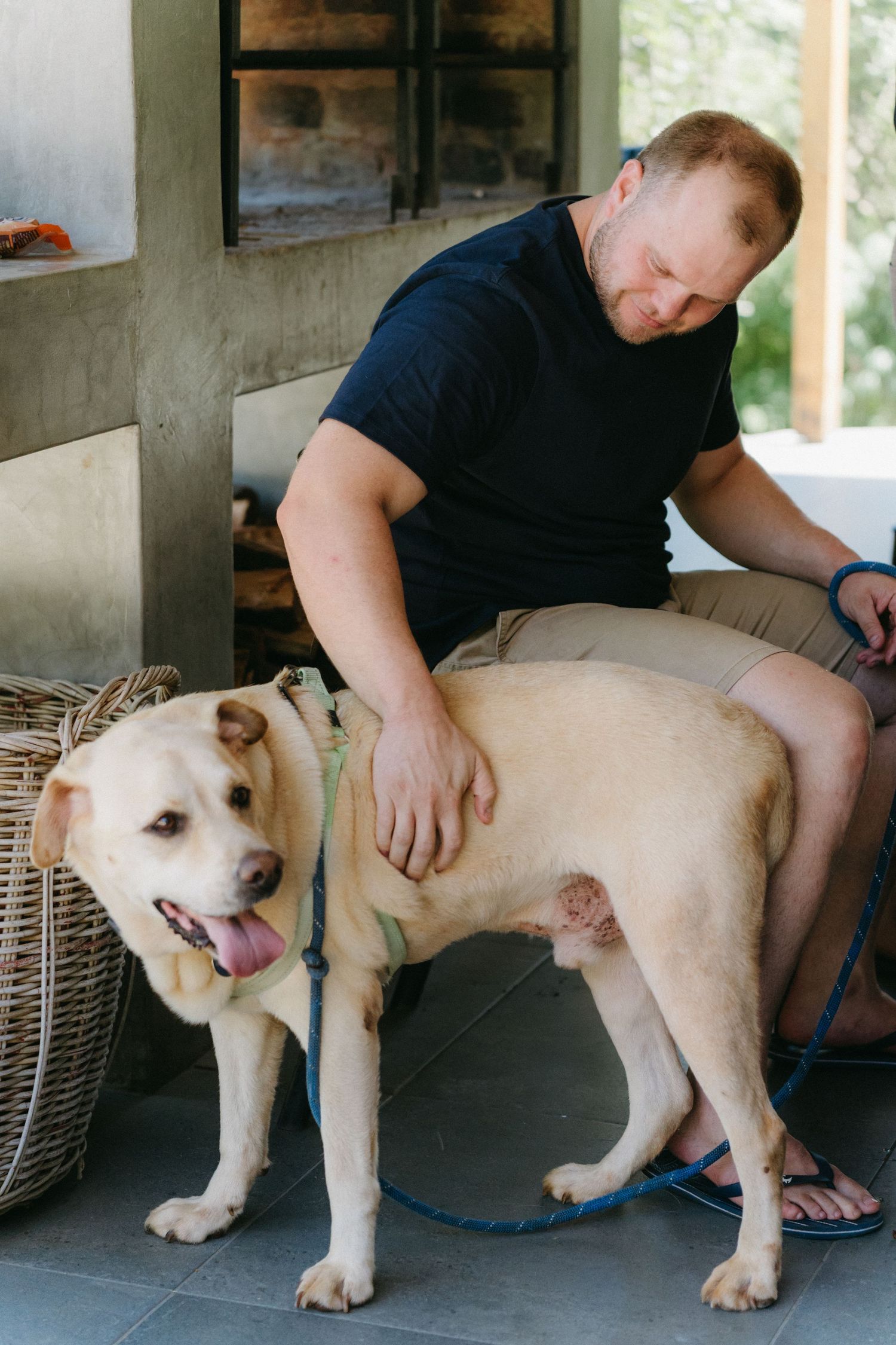 A cream-colored dog stands next to someone sitting on a covered patio with wicker furniture.