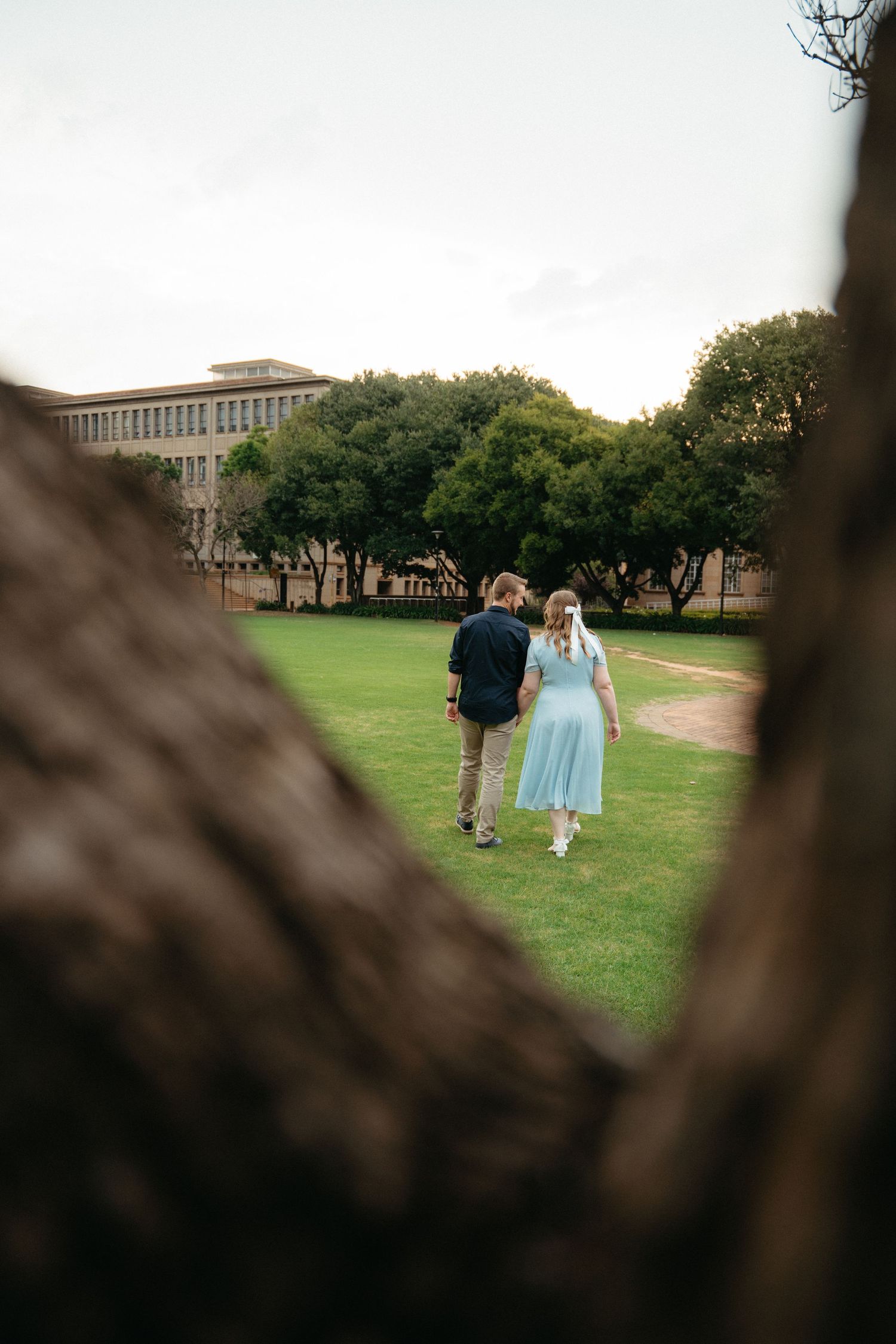 Couple strolling hand in hand across green Wits campus lawn framed through tree trunk in soft light.
