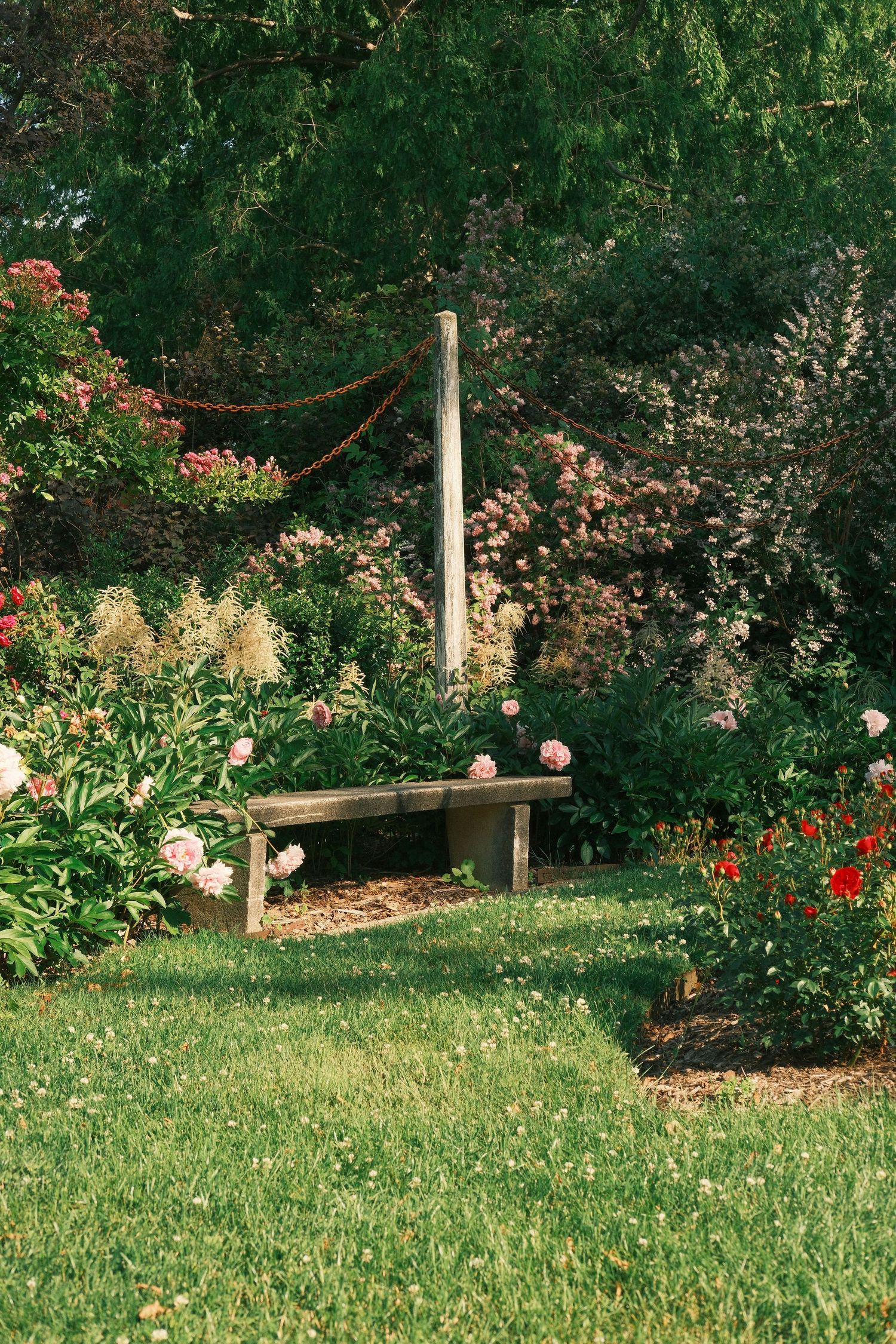 Floral landscape featuring a bench in a natural outdoor setting.