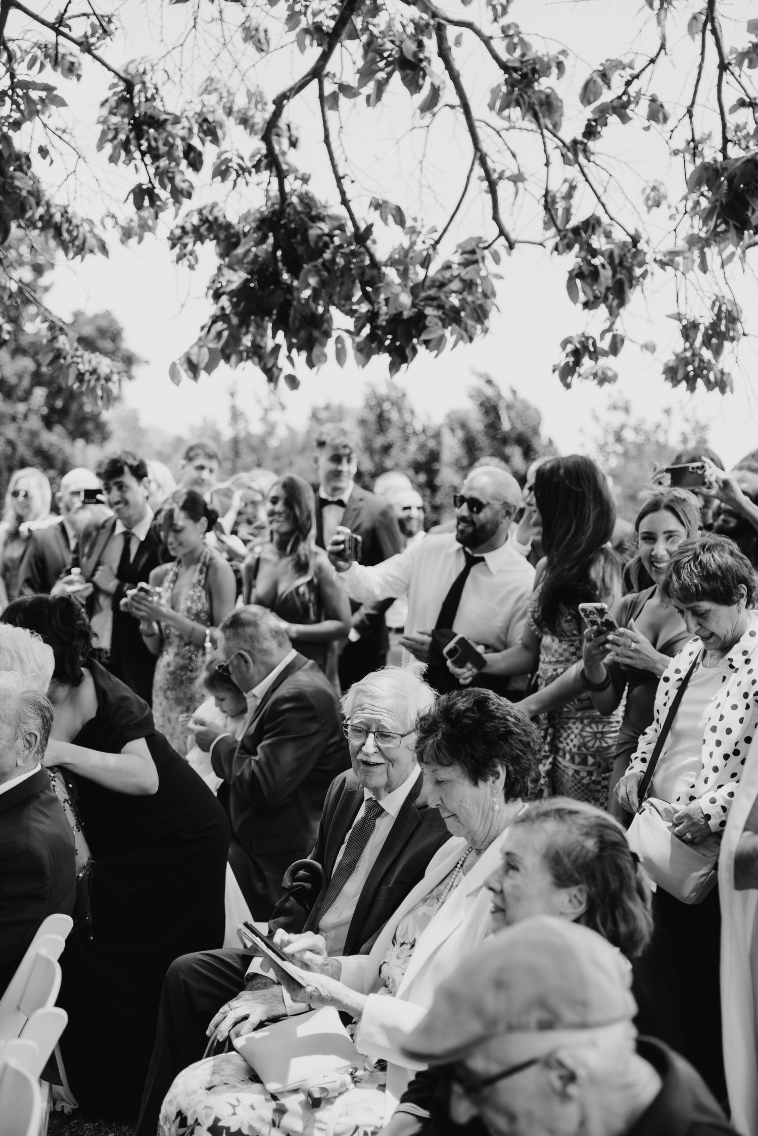 Black and white photo of wedding guests seated and standing outdoors under tree branches during a ceremony.