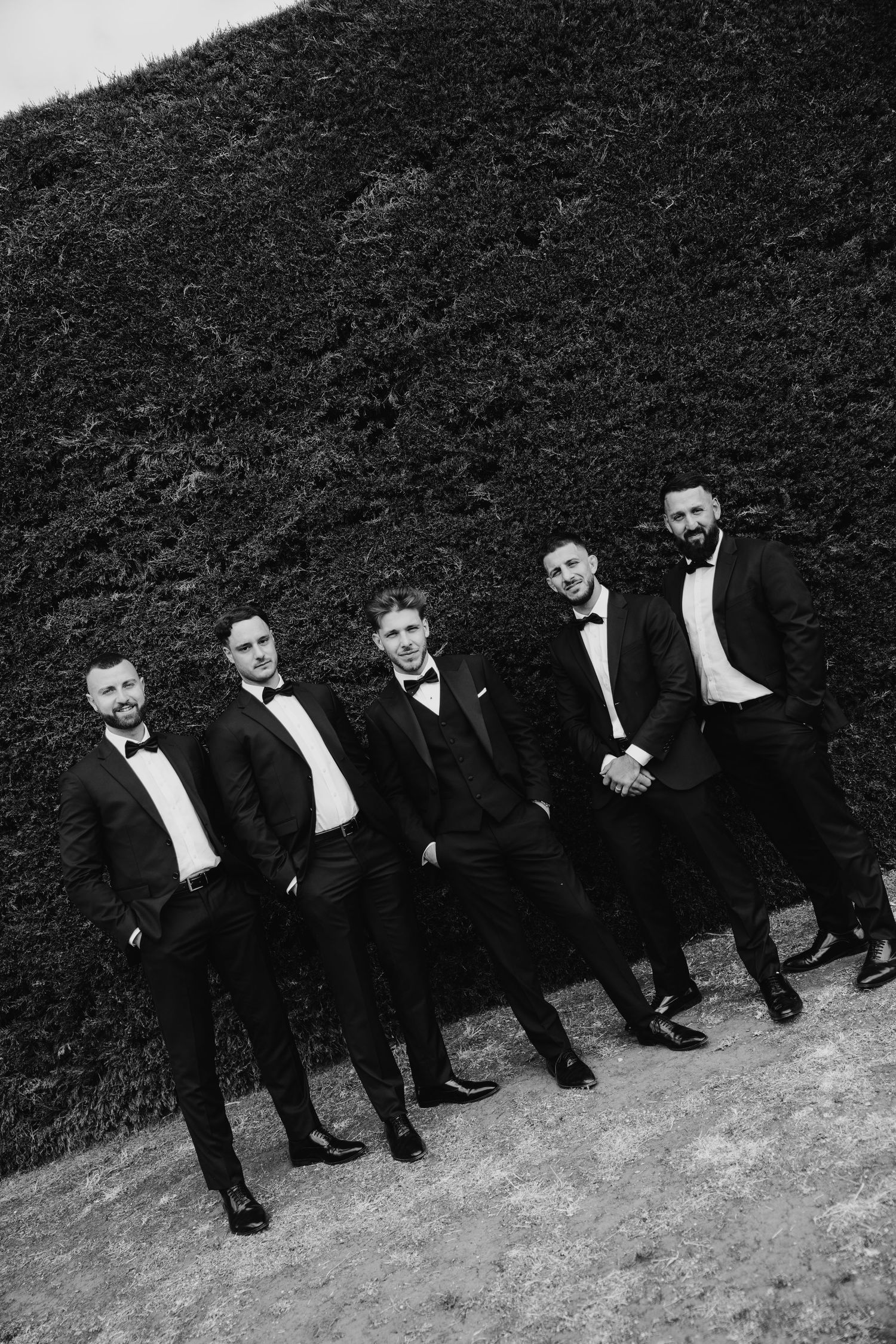 Five groomsmen in black tuxedos and bow ties pose against a lush green hedge wall in black and white photo.
