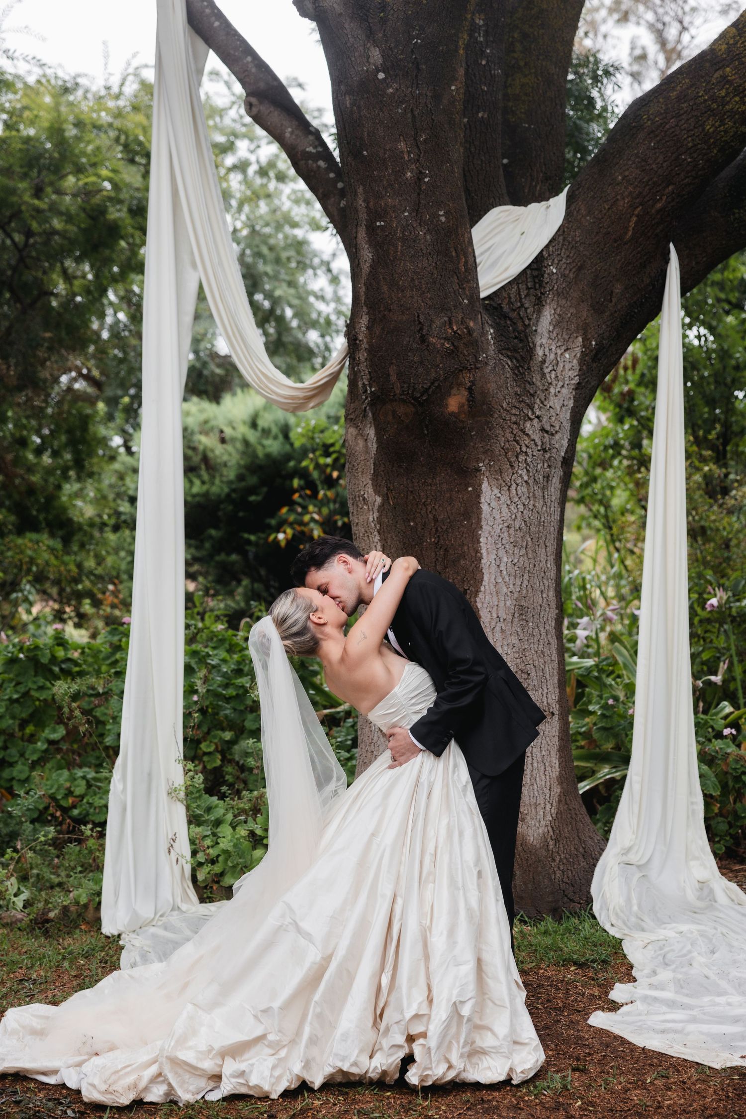 Bride and groom share a romantic dip kiss under a large tree adorned with flowing white fabric draping.