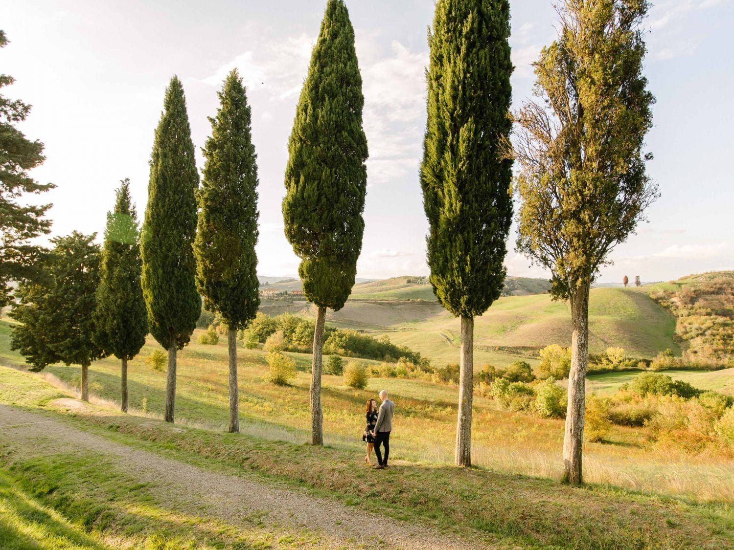 Row of tall cypress trees line a winding rural path through rolling Tuscan countryside at sunset.