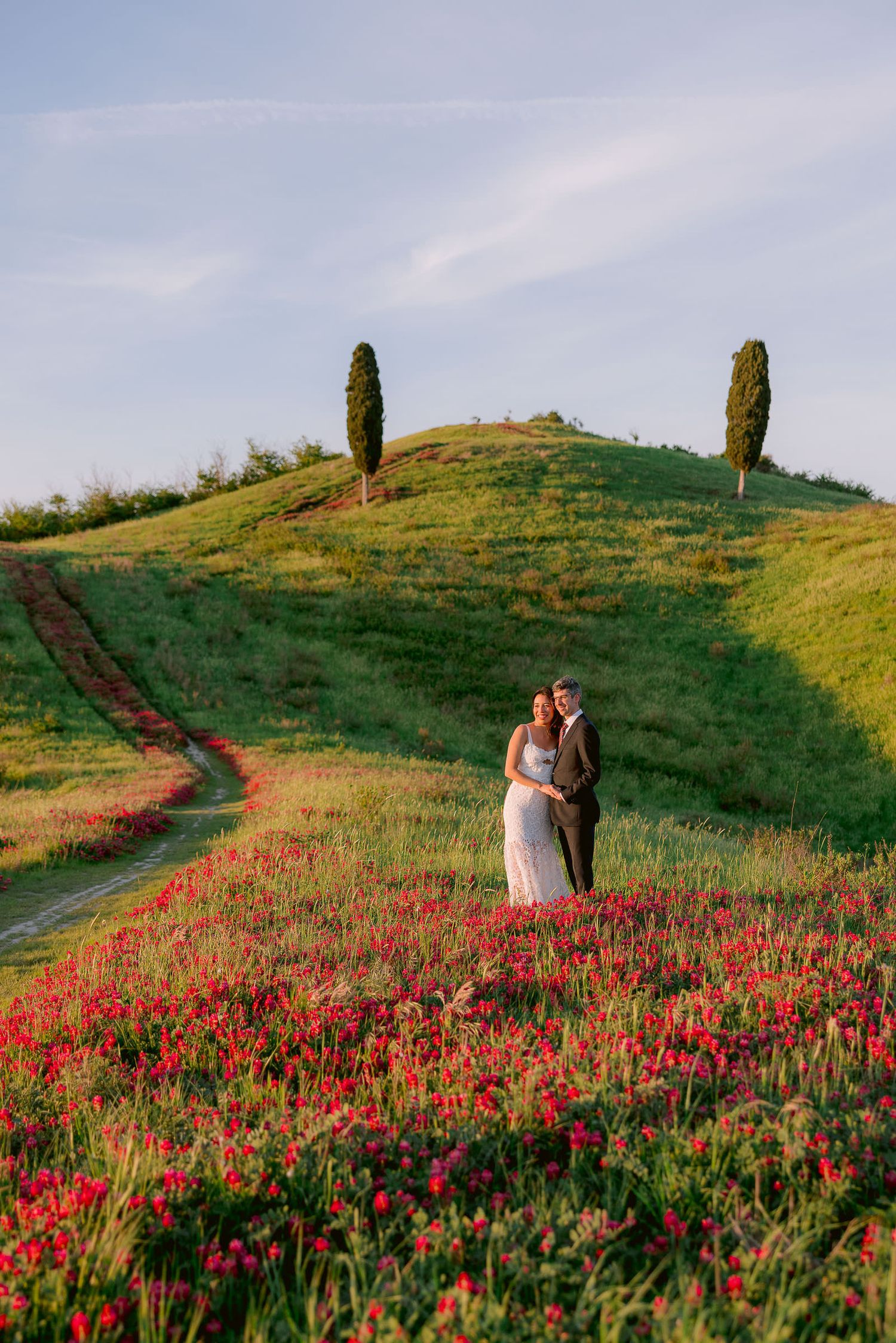 A hillside covered in vibrant red poppies with winding paths and cypress trees in Tuscany.
