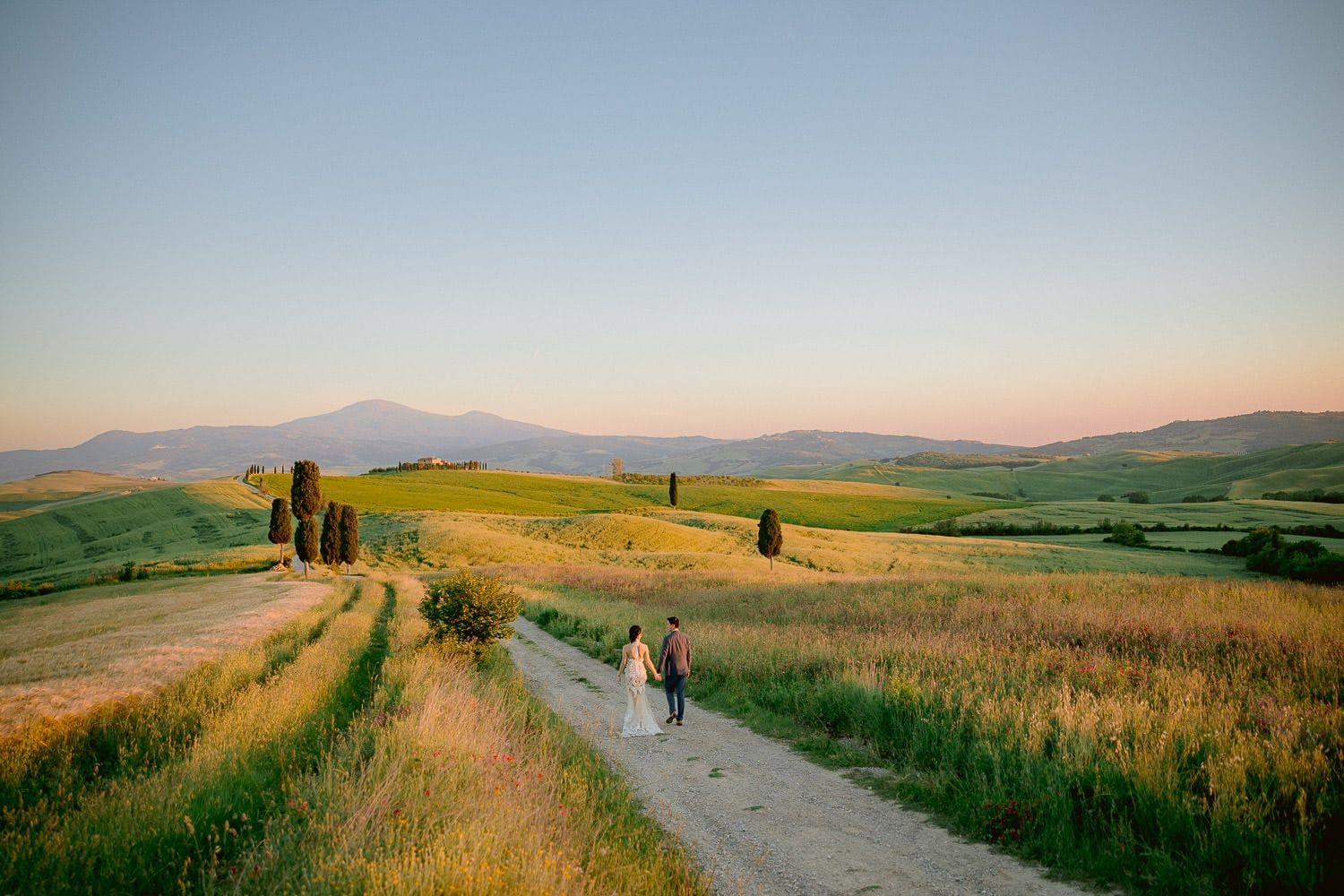 Winding country road through golden wheat fields in the Tuscan countryside.