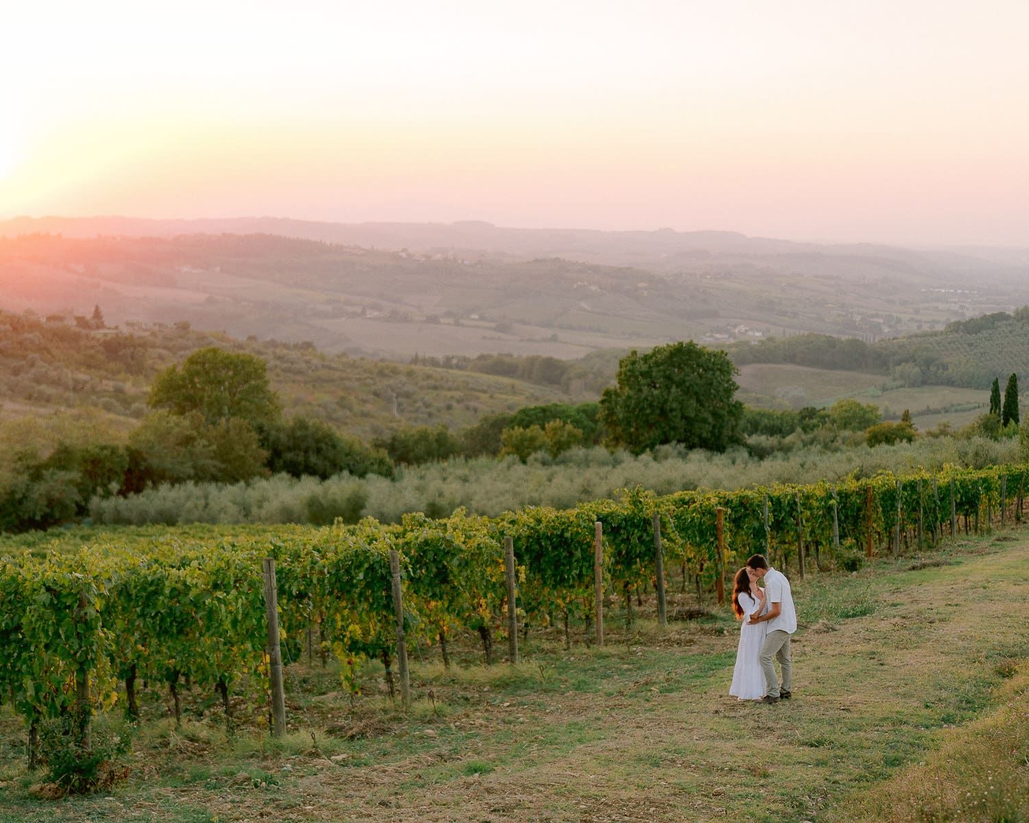 Beautiful vineyard rows stretching across rolling hills at sunset in Tuscany.