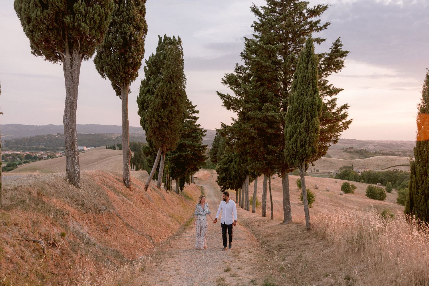 Scenic cypress tree-lined path at sunset with rolling hills in the background.
