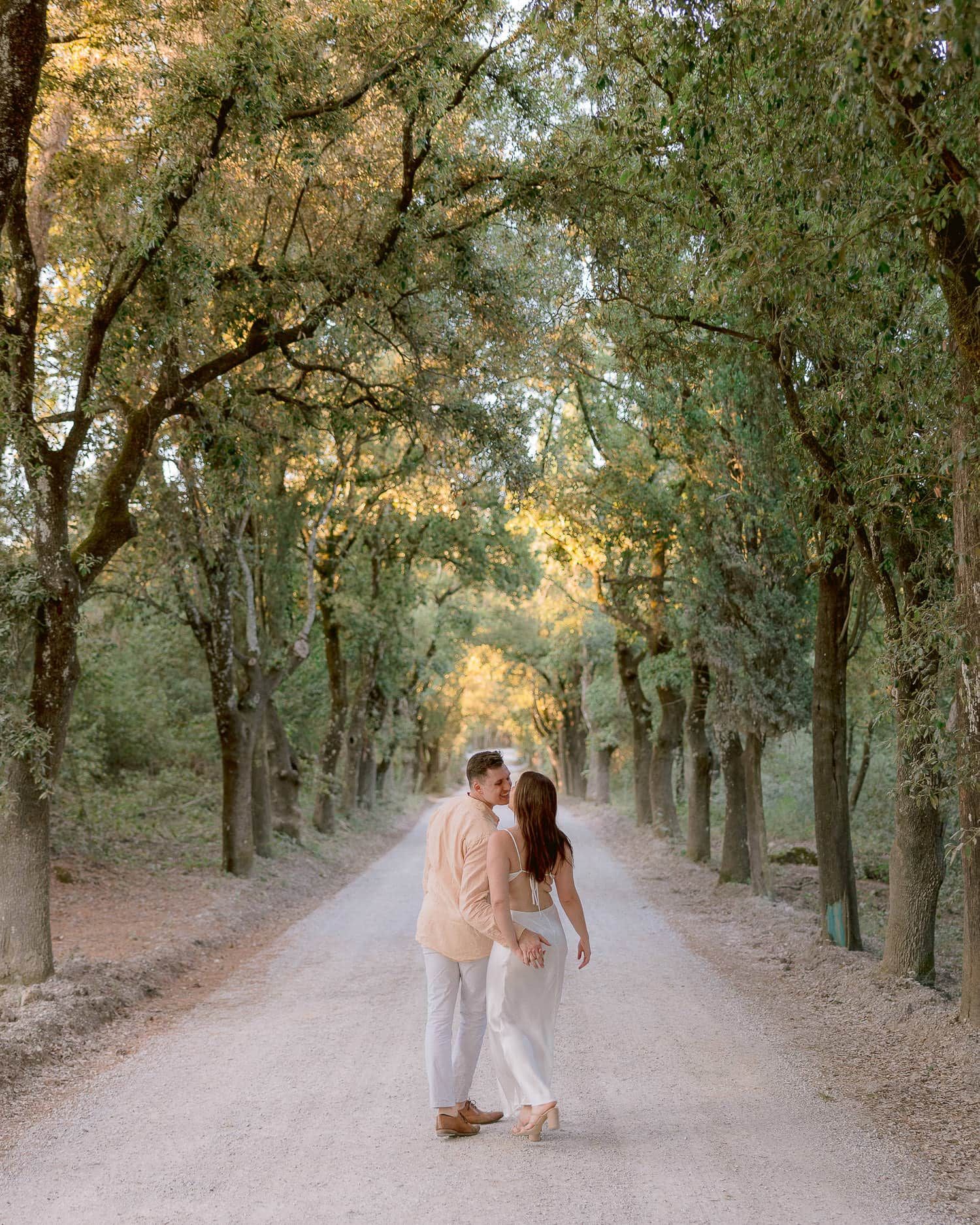 Tree-lined pathway through a romantic forest setting during golden hour.