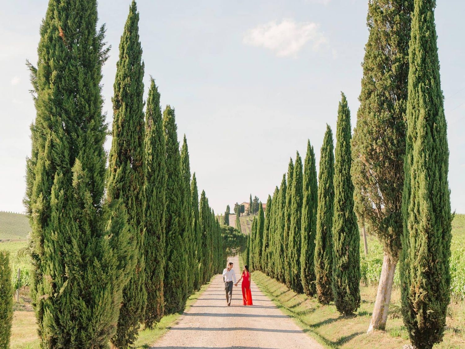 Tree-lined cypress avenue stretches through the rolling hills of Tuscany.