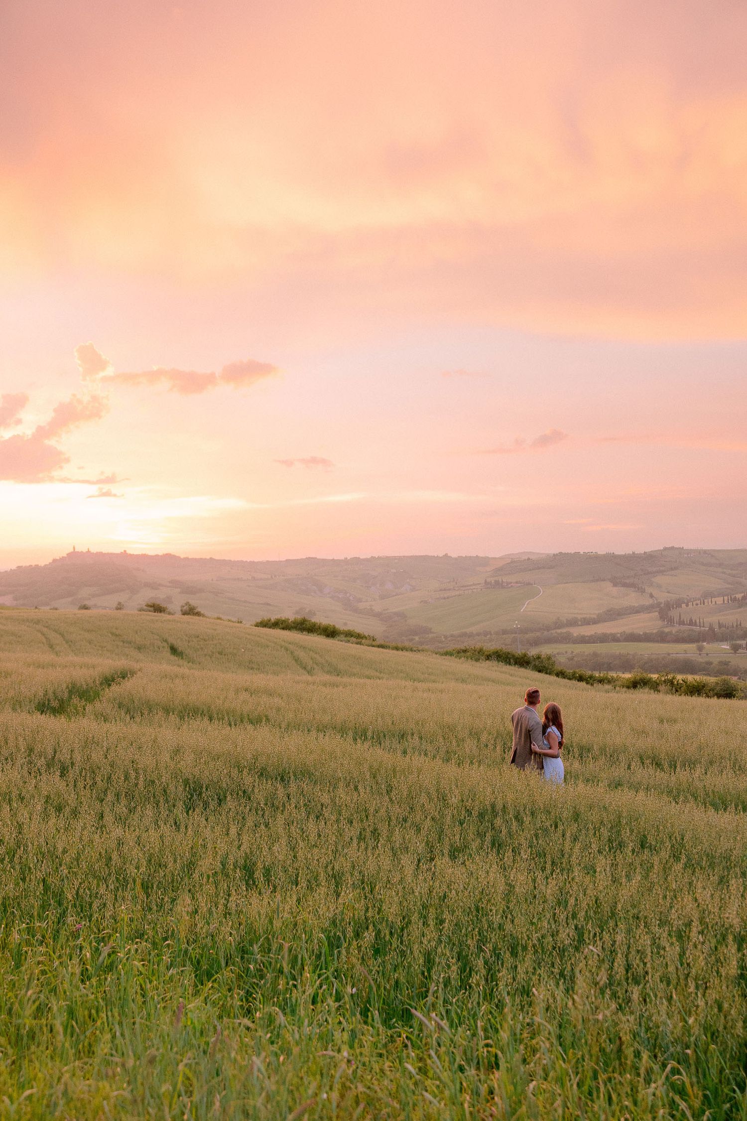 Rolling hills and grassy meadows under a pink sunset sky in the countryside.