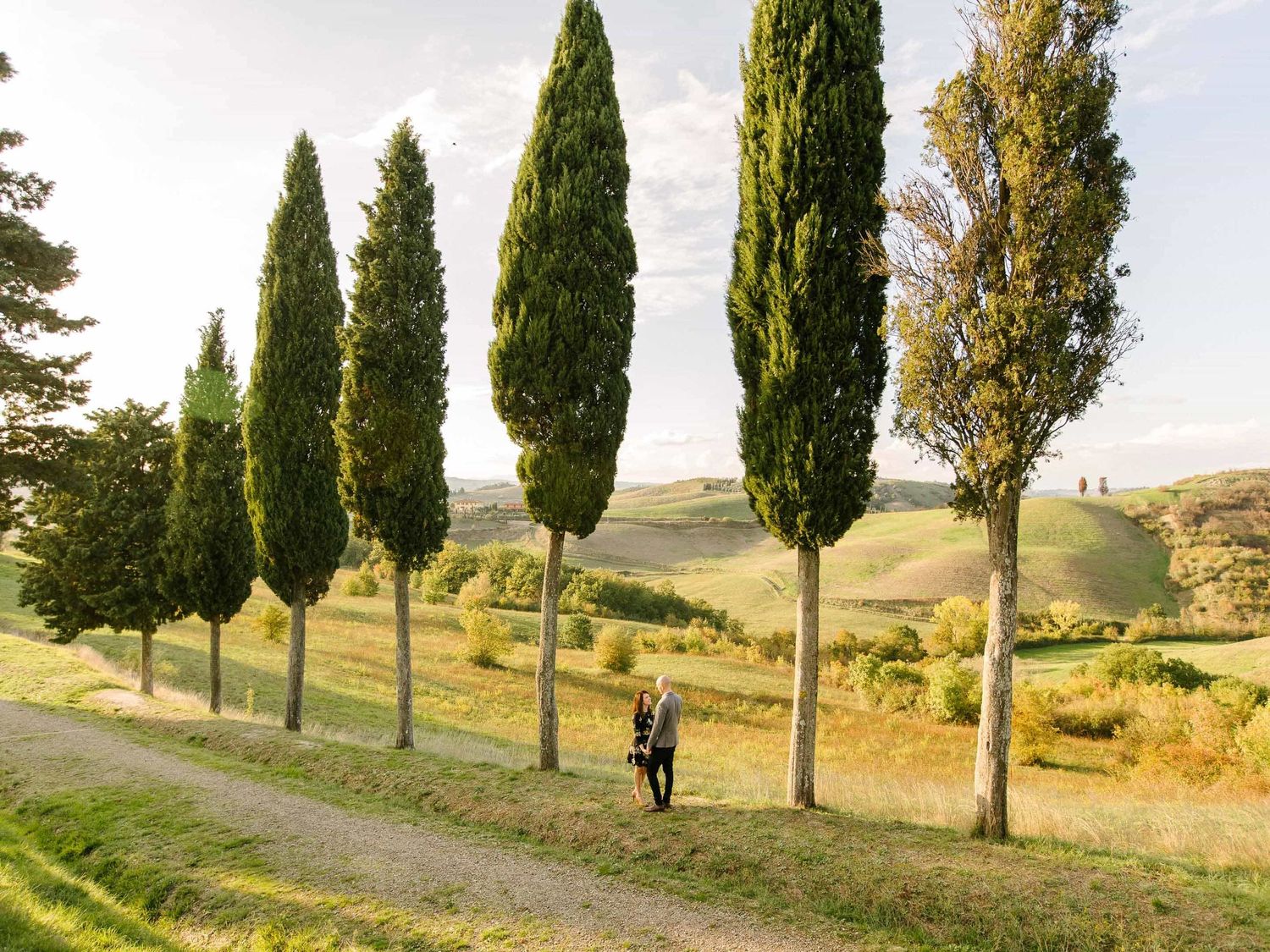 Row of tall cypress trees line a winding path in the Tuscan countryside at sunset.
