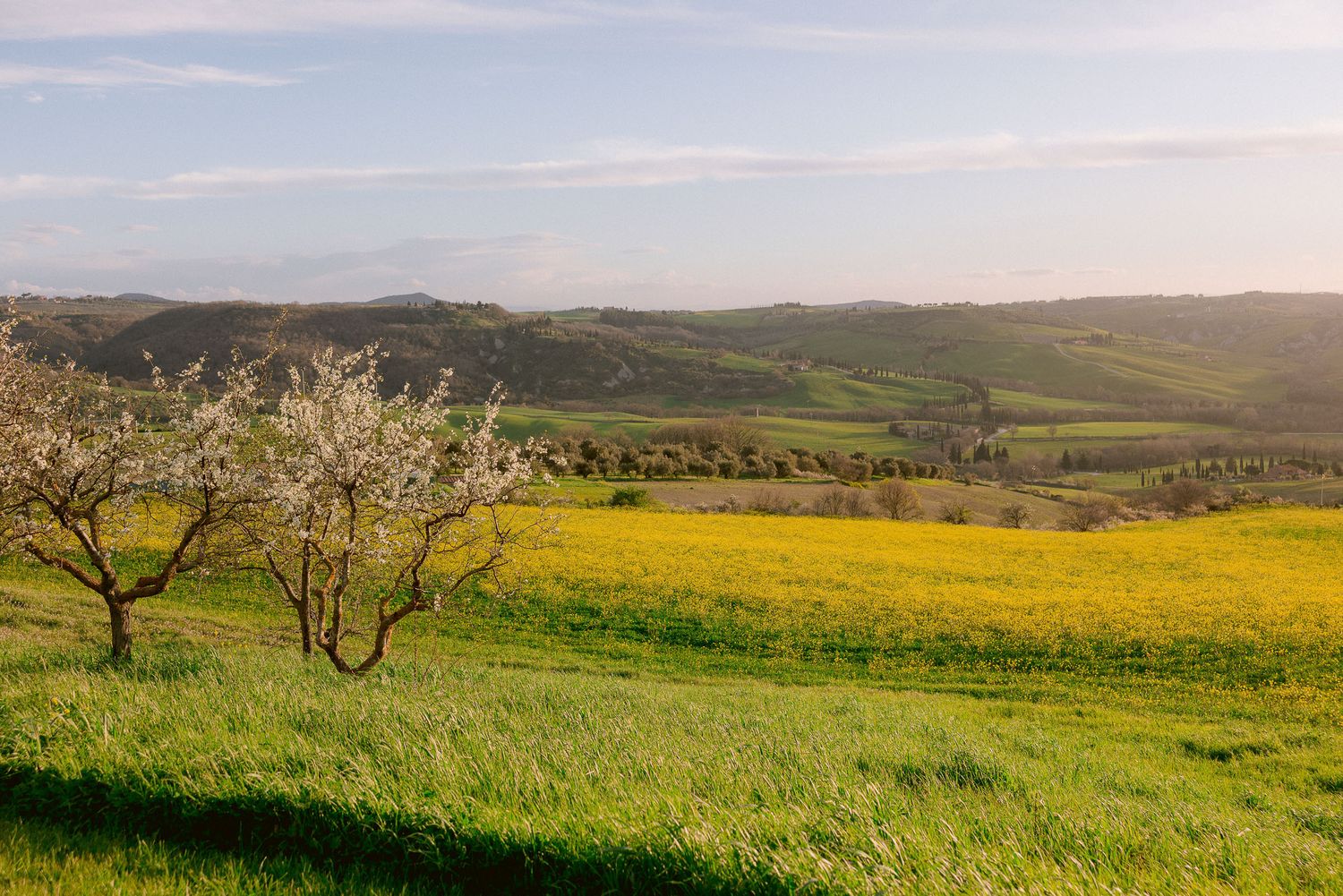 Rolling green hills and meadows stretch across a scenic Tuscan landscape.