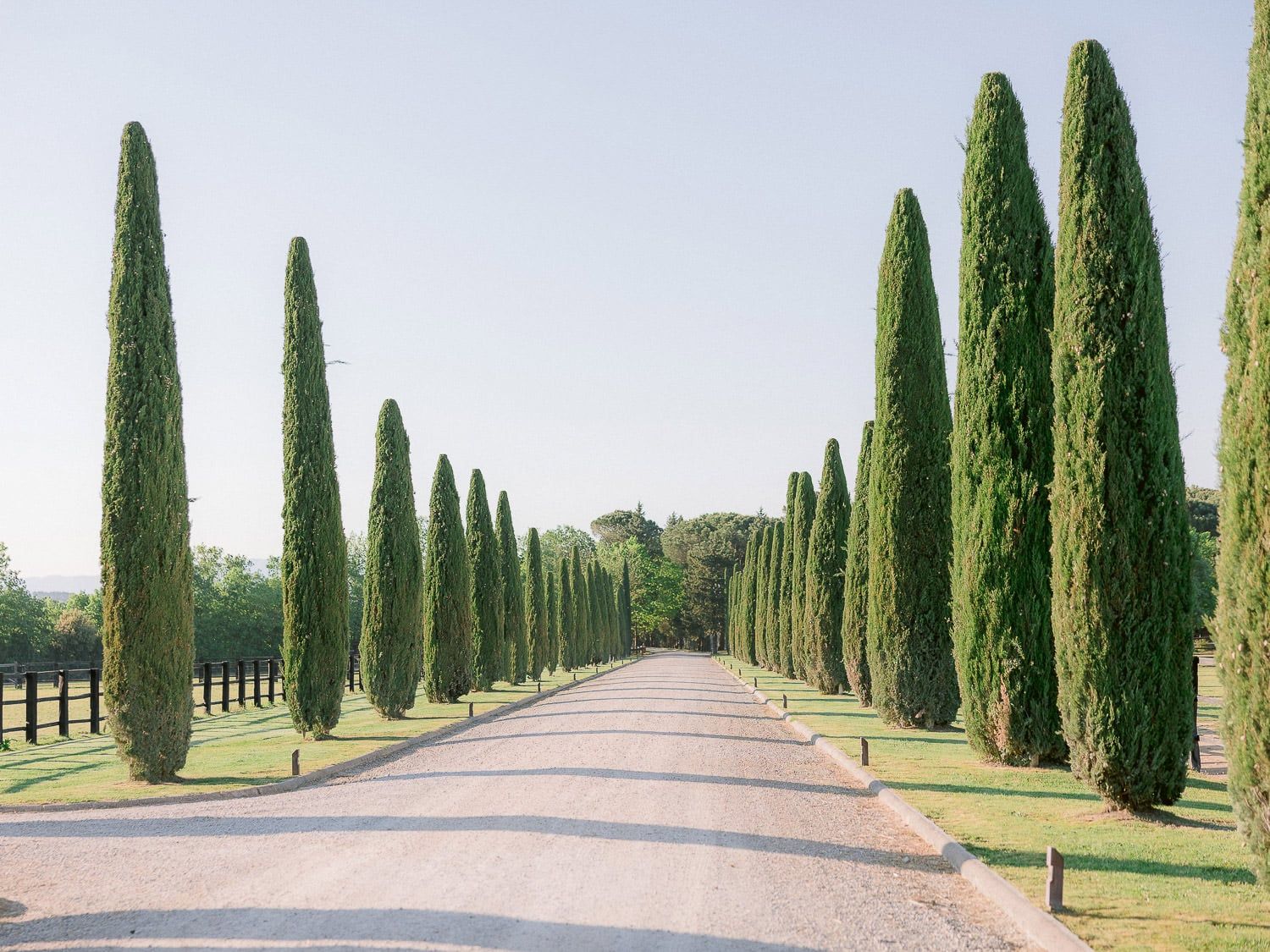 Rows of tall cypress trees line a winding dirt path through the Tuscan countryside at sunset.