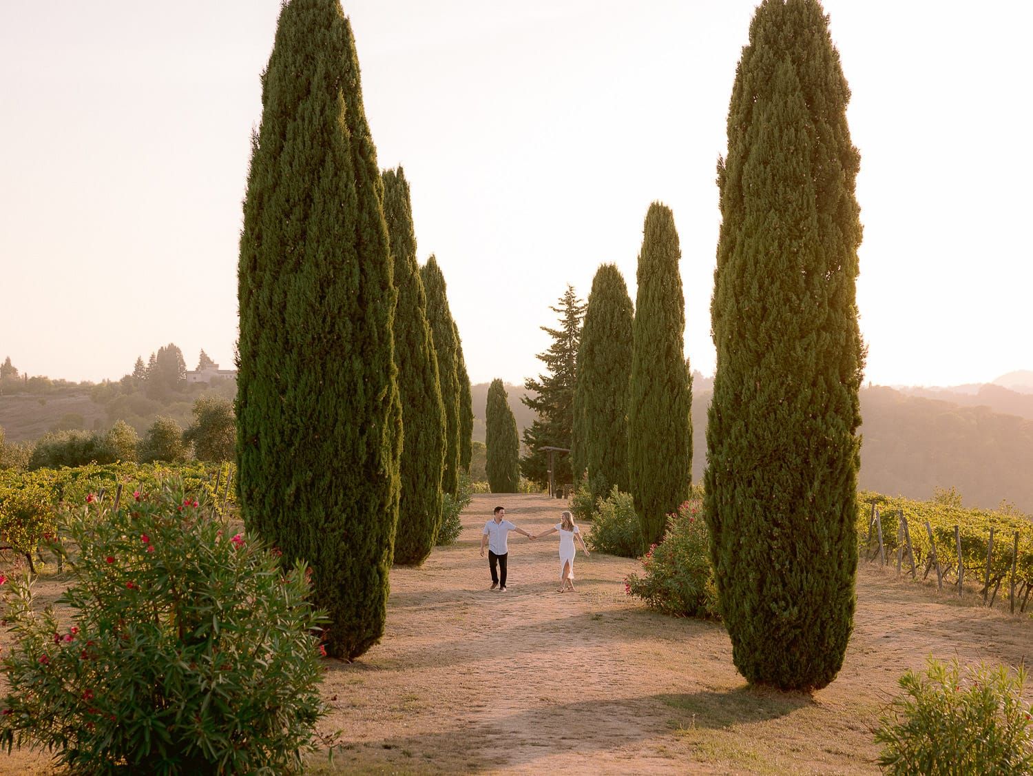 Cypress trees create a dramatic pathway leading to a grand villa in the Tuscan countryside.