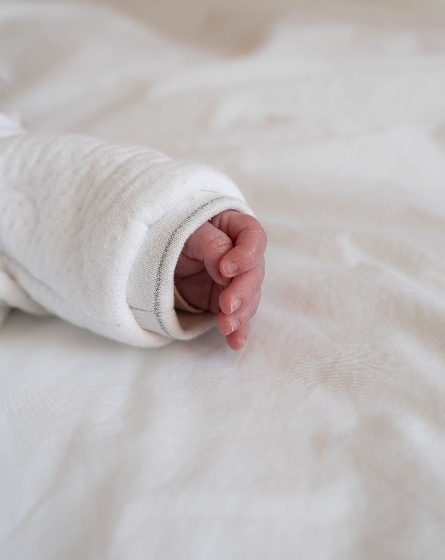Studio Van Maele, photographe professionnelle à Meaux. Mariage, famille, portrait et entreprise en Seine-et-Marne et Paris.