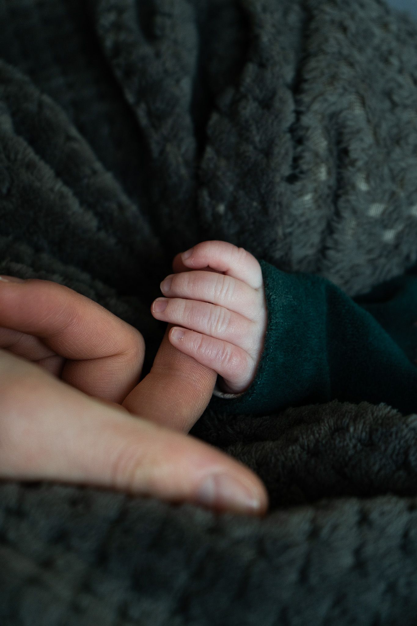 Photographe professionnel, famille, mariage, entreprise, naissance, grossesse. Je me déplace à Meaux, paris et dans toute l'ide de France.