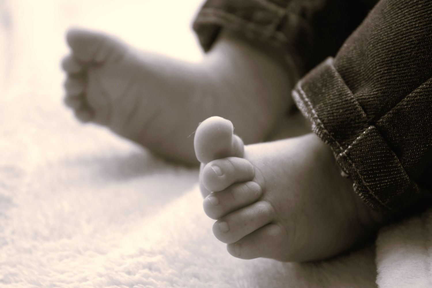 Studio Van Maele, photographe professionnelle à Meaux. Mariage, famille, portrait et entreprise en Seine-et-Marne et Paris.
