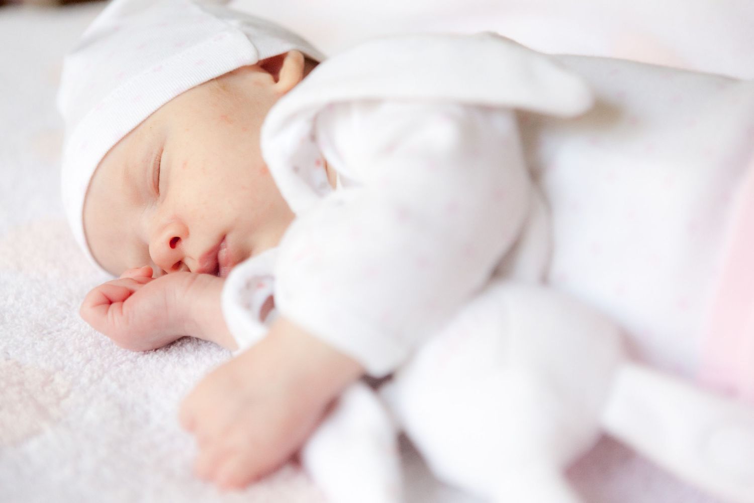 Newborn Portrait