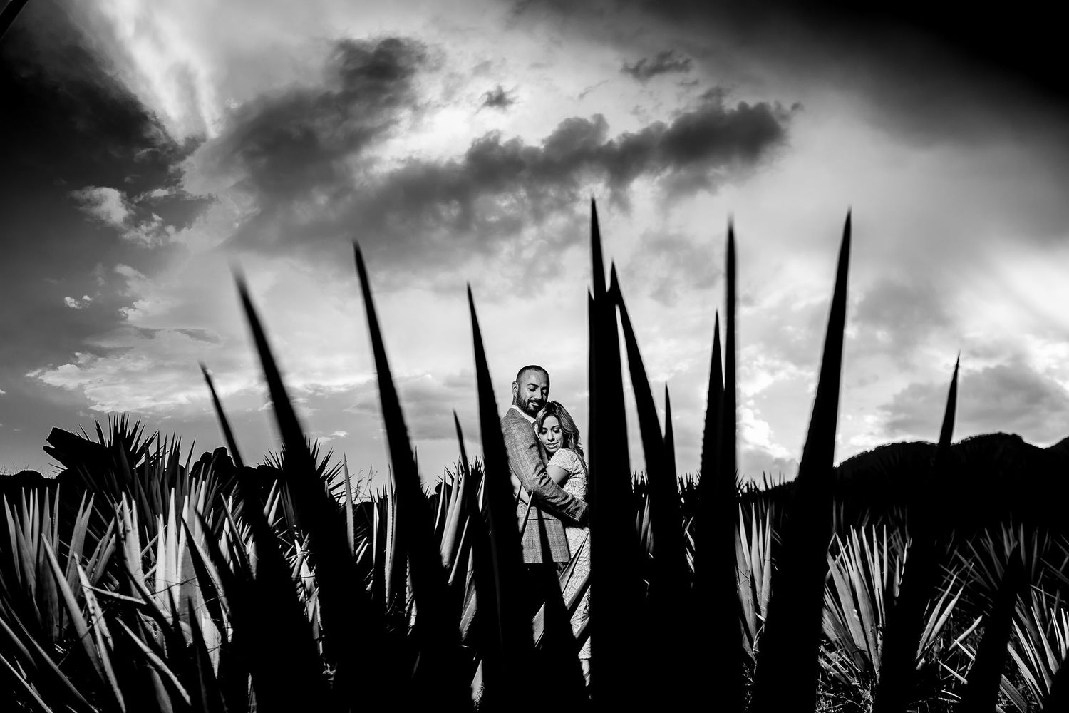 Black and white photo of a couple embracing among tall agave plants with dramatic cloudy sky backdrop.